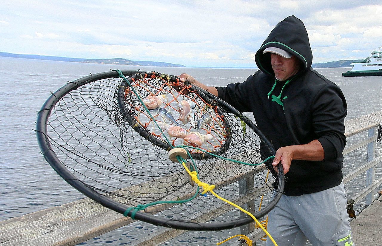 Pick of the Week: Crabbing