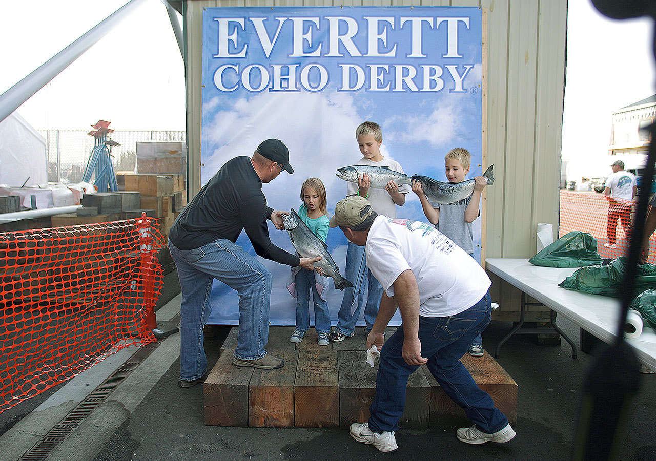 Young anglers hold up their catches during the Everett Coho Derby competition in September 2012. The derby may have a harder this year because coho must be released in several areas of Puget Sound. (Annie Mulligan / For The Herald)