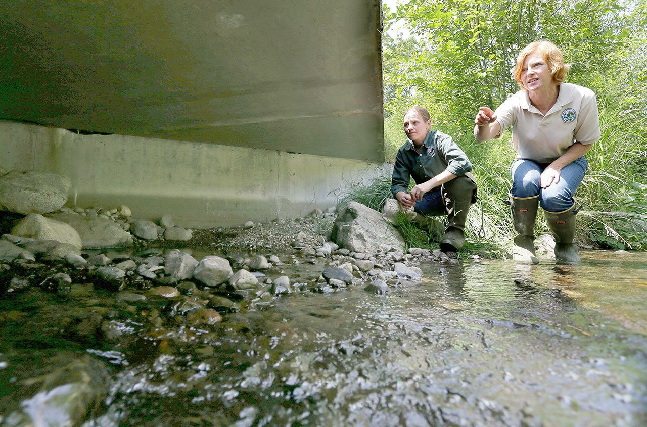Julie Henning (right), division manager of the Washington Dept. of Fish and Wildlife ecosystem services division habitat program, and Melissa Erkel, a fish passage biologist, look at a wide passageway for the north fork of Newaukum Creek near Enumclaw in 2015. (Ted S. Warren / Associated Press)