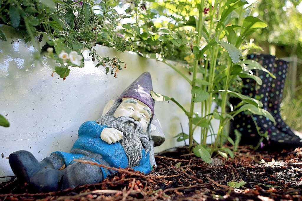Our garden makes us smile, we hope it does the same for you,” Mike Crawford wrote in the garden tour booklet. (Kevin Clark / The Herald)
