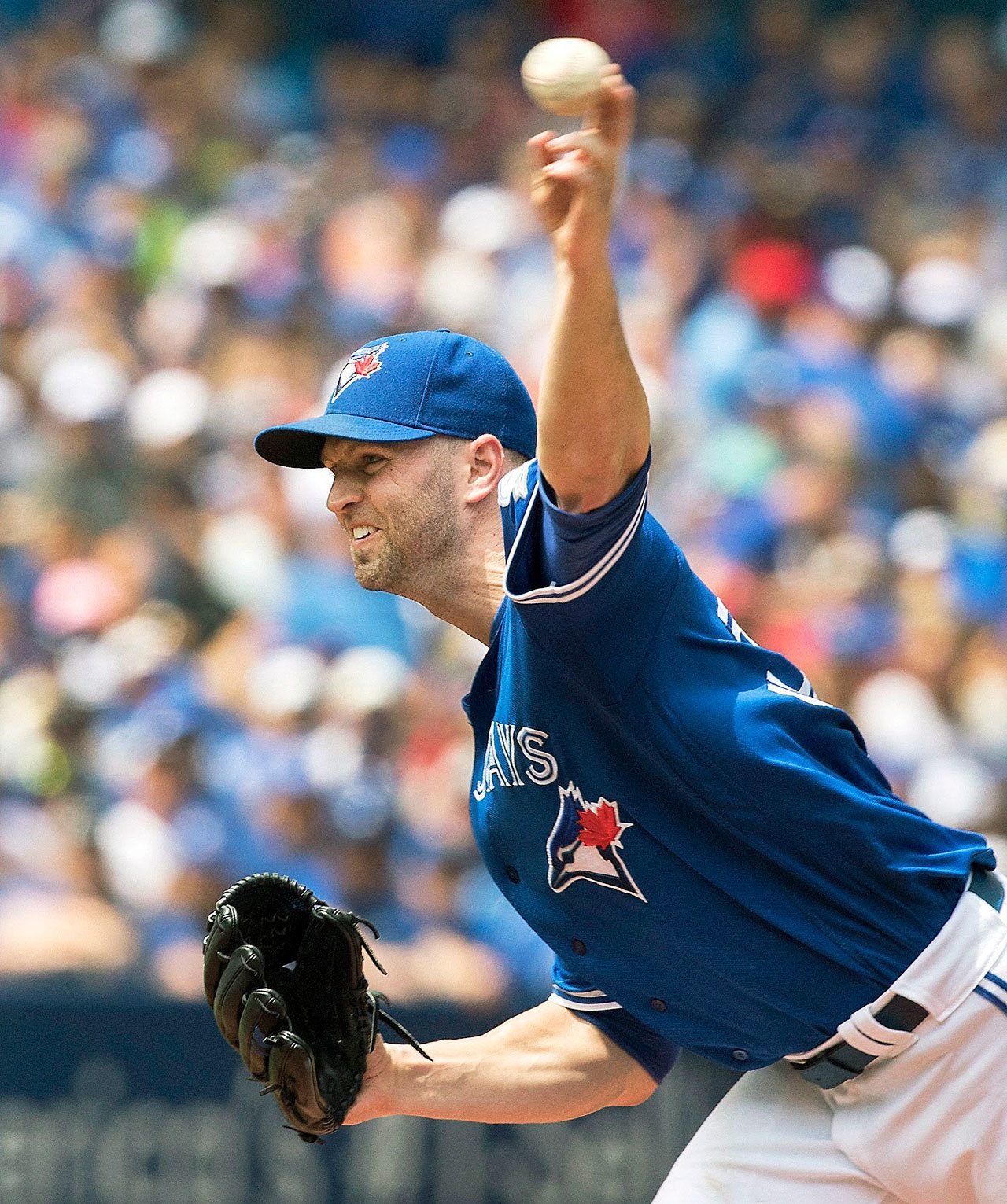 Toronto Blue Jays starting pitcher J.A. Happ allowed just one hit Sunday as he picked his 13th win of the season. (Fred Thornhill/The Canadian Press via AP)