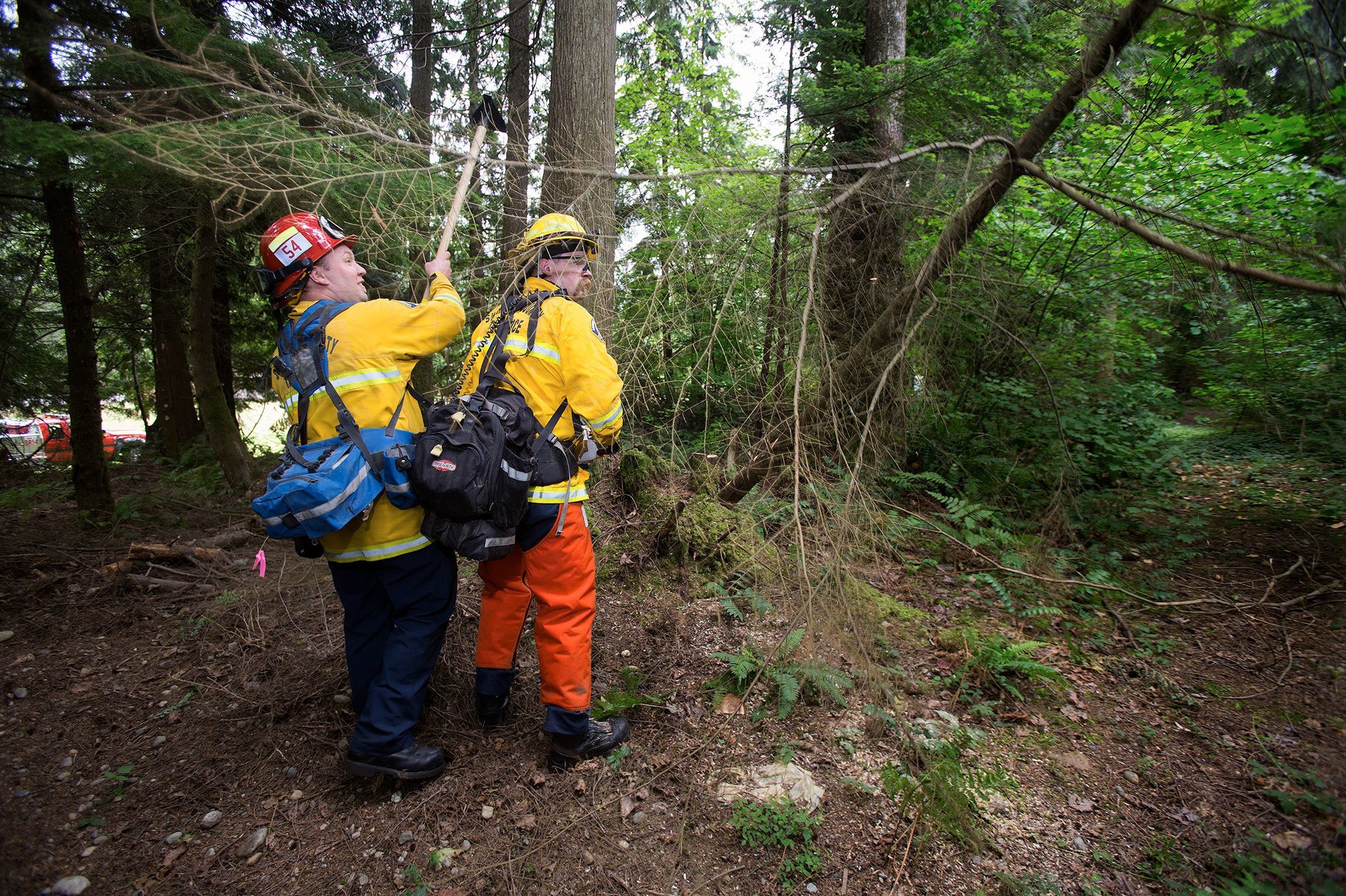 Snohomish County Fire District 26 Lt. Scott Coulson shields volunteer firefighter Schuyler Murphy from the limbs of a falling tree as they create “defensible space” during practice for the wildfire season on Wednesday in Gold Bar. (Andy Bronson / The Herald)