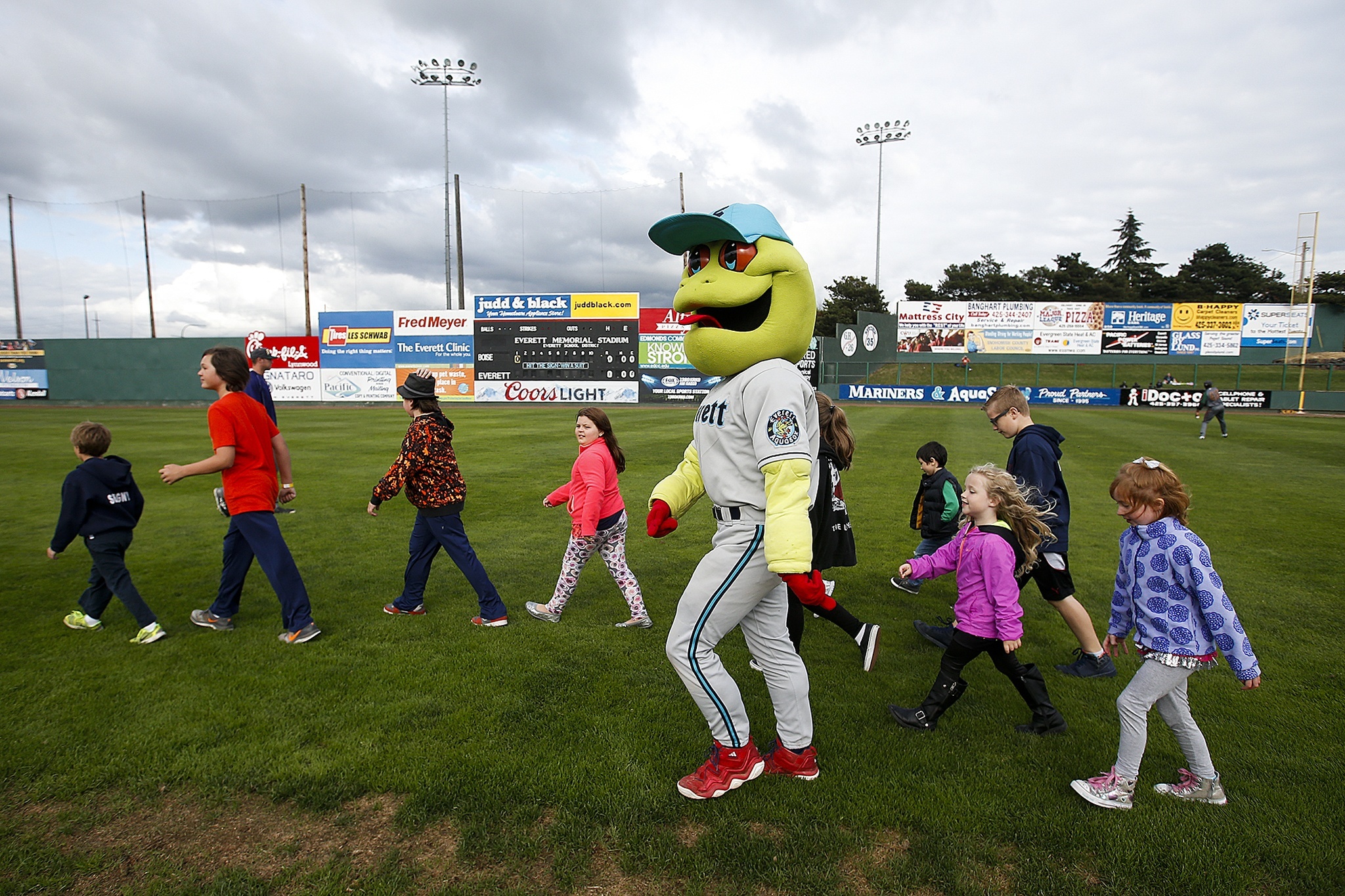 AquaSox mascot Webbley walks across the team’s field with kids between innings of a game at Everett Memorial Stadium. (Ian Terry / The Herald)