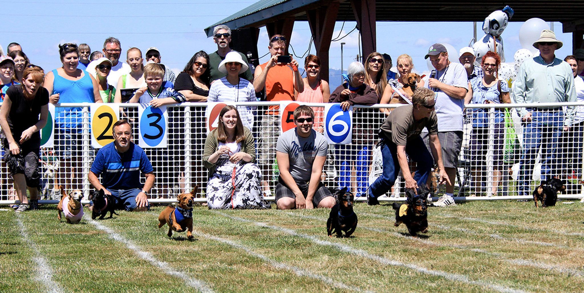 Marysville’s Poochapalooza celebrates all things dog