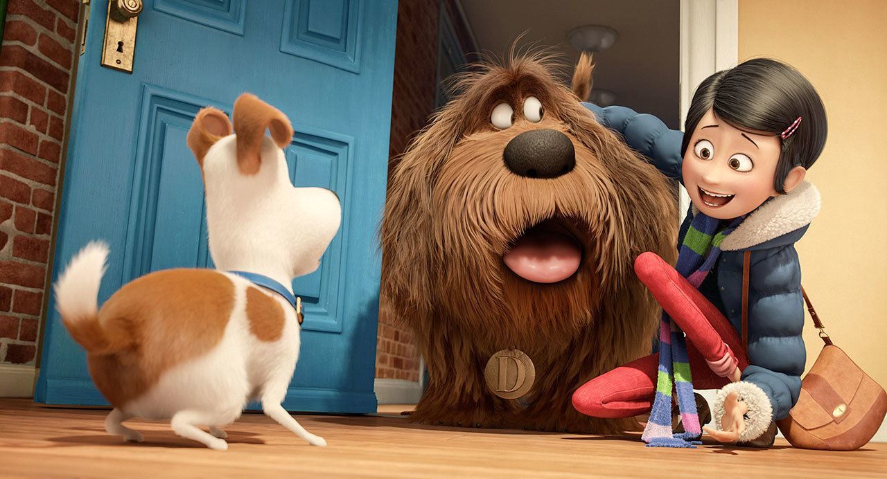 “The Secret Life of Pets” tells the story of what our pets do when we’re not around. (Illumination Entertainment)