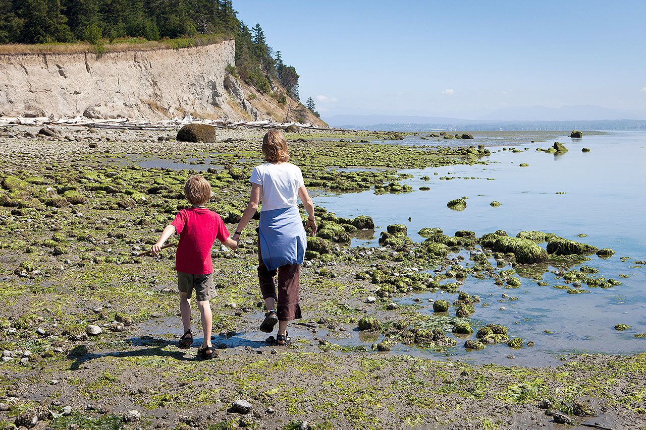A mother and her son walk toward a bluff on a shore at low tide at Barnum Point on Camano Island, which looks out over Port Susan Bay. (Photos courtesy of Benjamin Drummond and Whidbey Camano Land Trust)