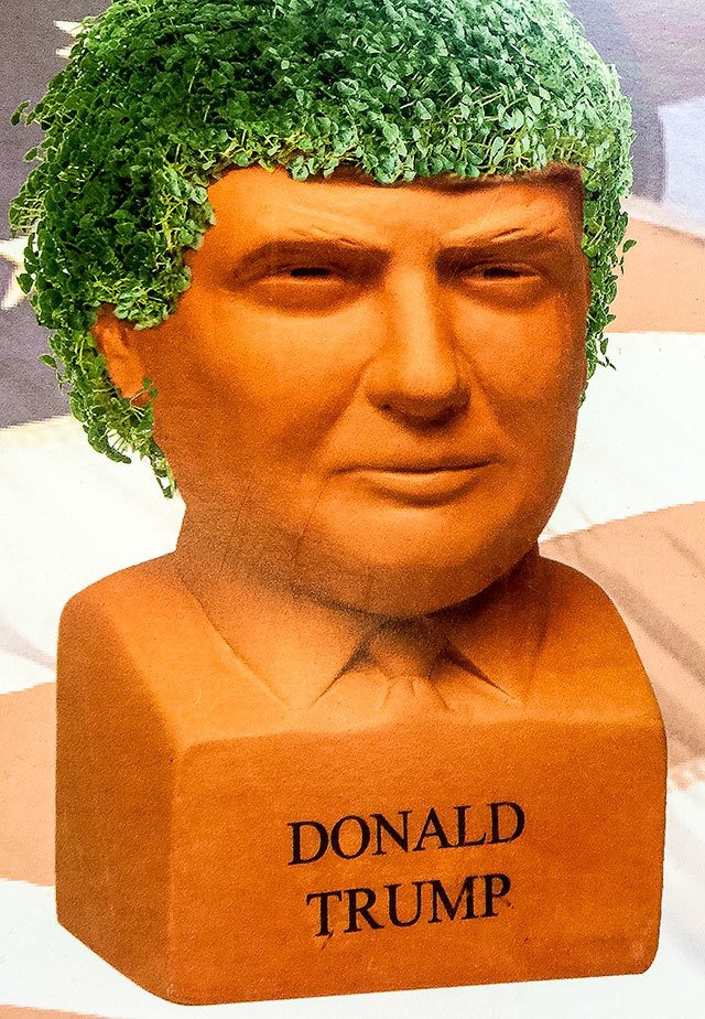 Now you can finally do something about Trump’s hair.