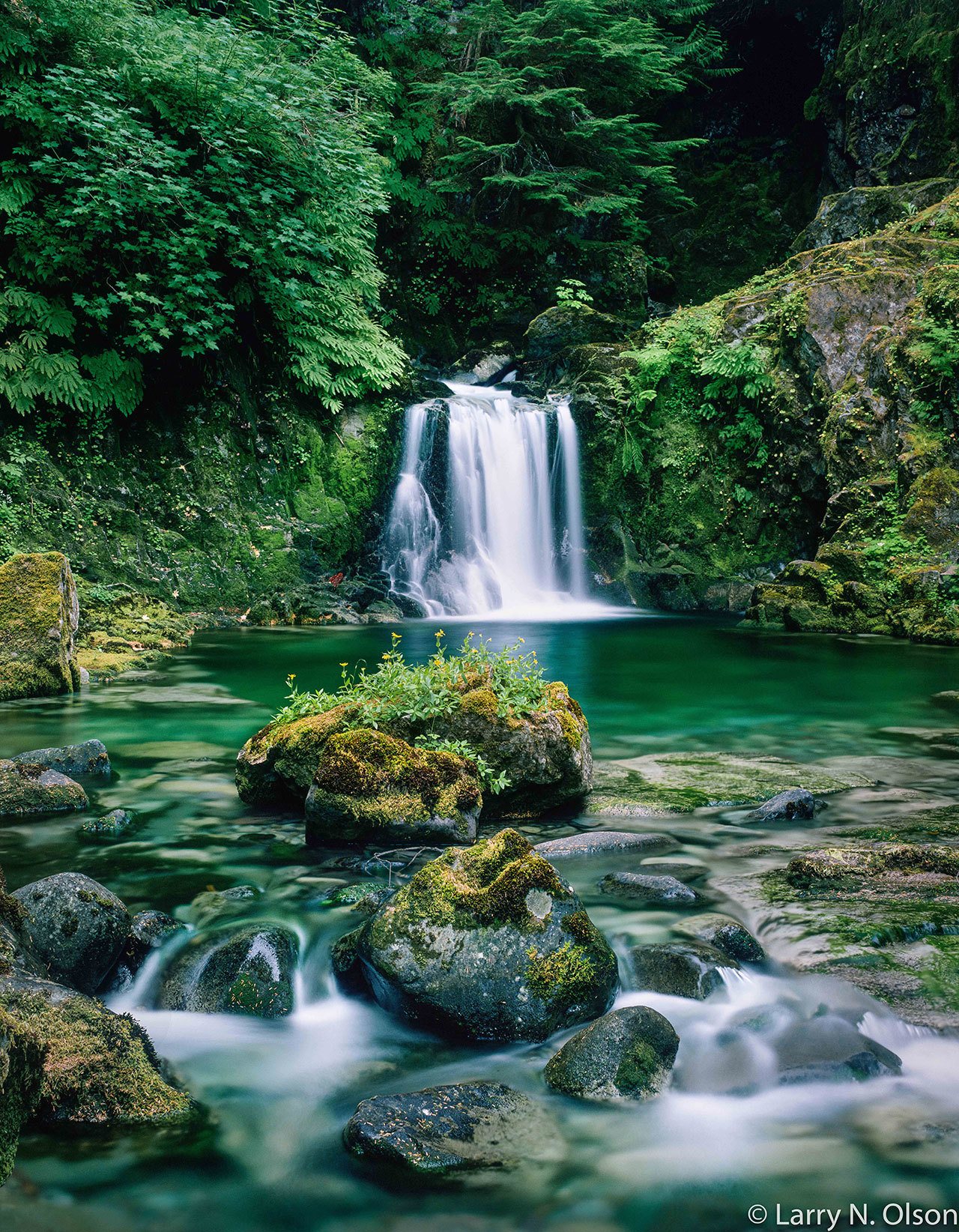 This photo of a small waterfall on Opal Creek in Oregon, taken in 1989 by Larry Olson, helped build the momentum to preserve the area from logging.