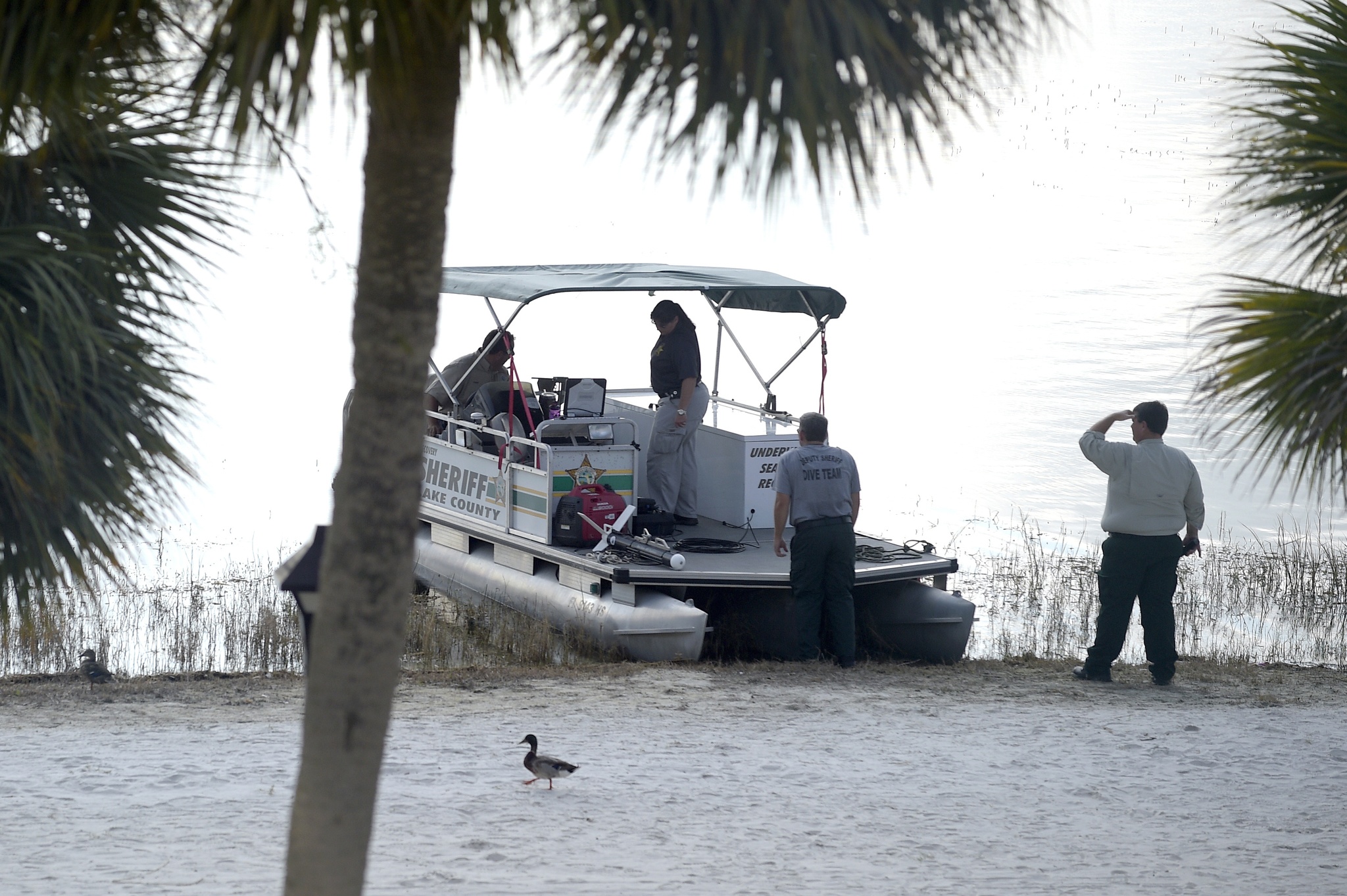 Parents won’t sue Disney over alligator attack on their child