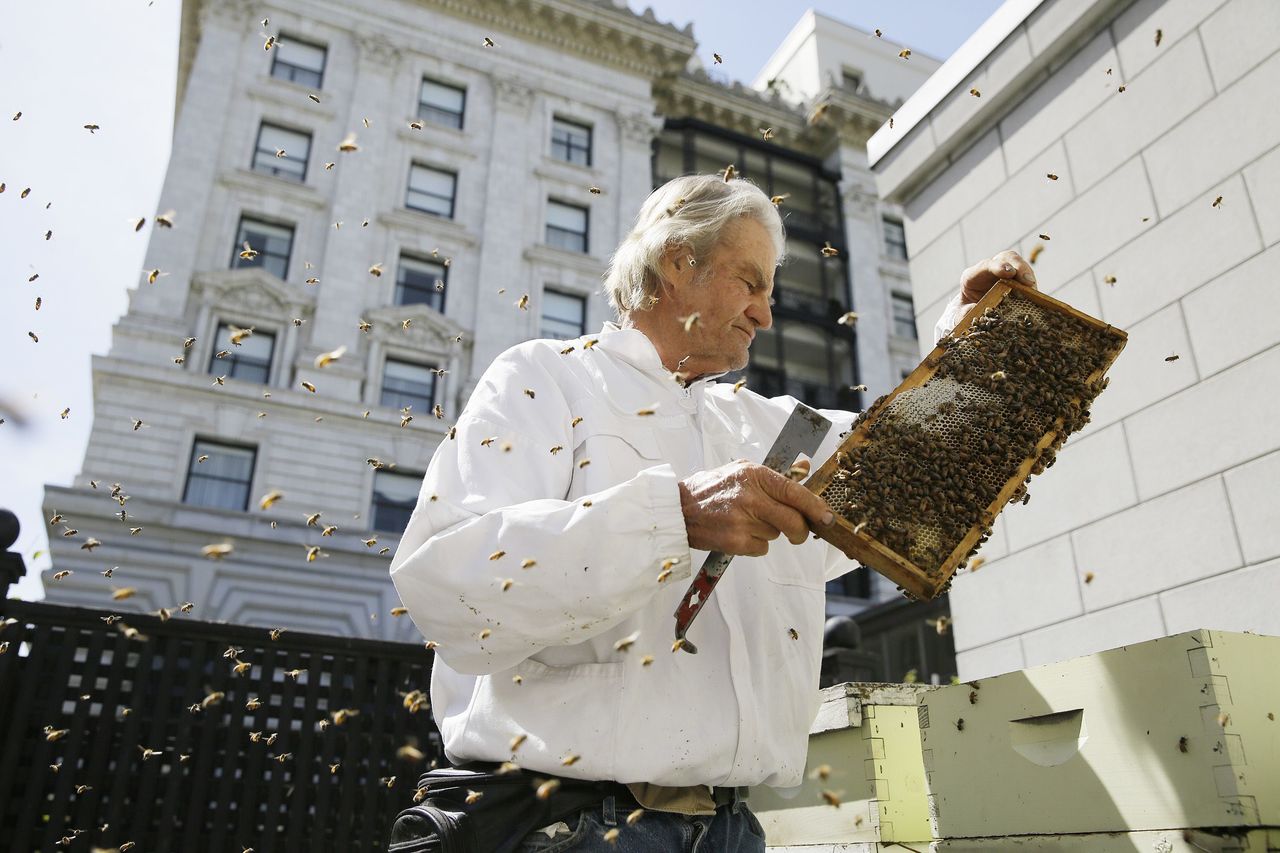 Beekeeper Spencer Marshall checks a number of hives on a garden deck outside the Fairmont Hotel in San Francisco in April.
