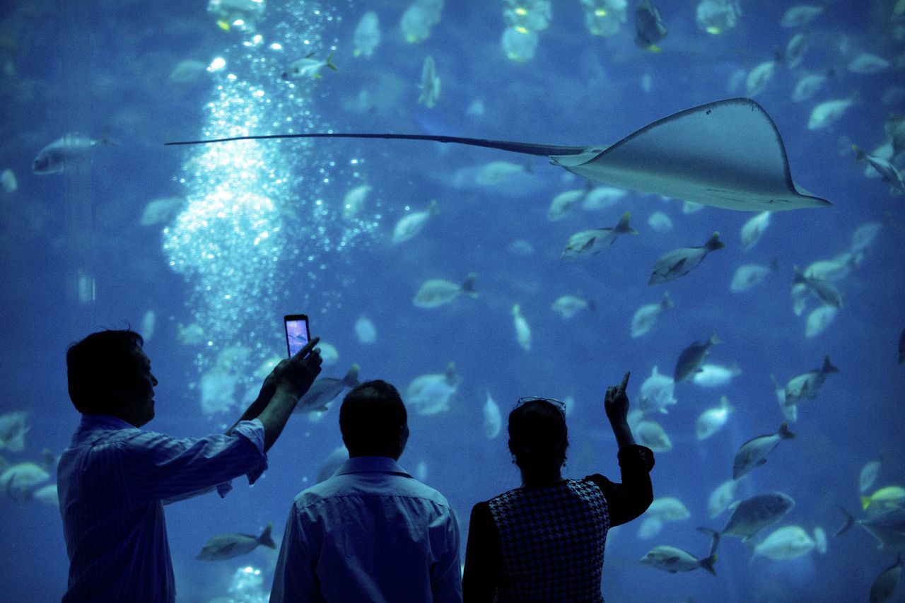 People watch marine life at an indoor ocean park aquarium at the Wanda Cultural Tourism City in Nanchang in southeastern China’s Jiangxi province on Saturday.