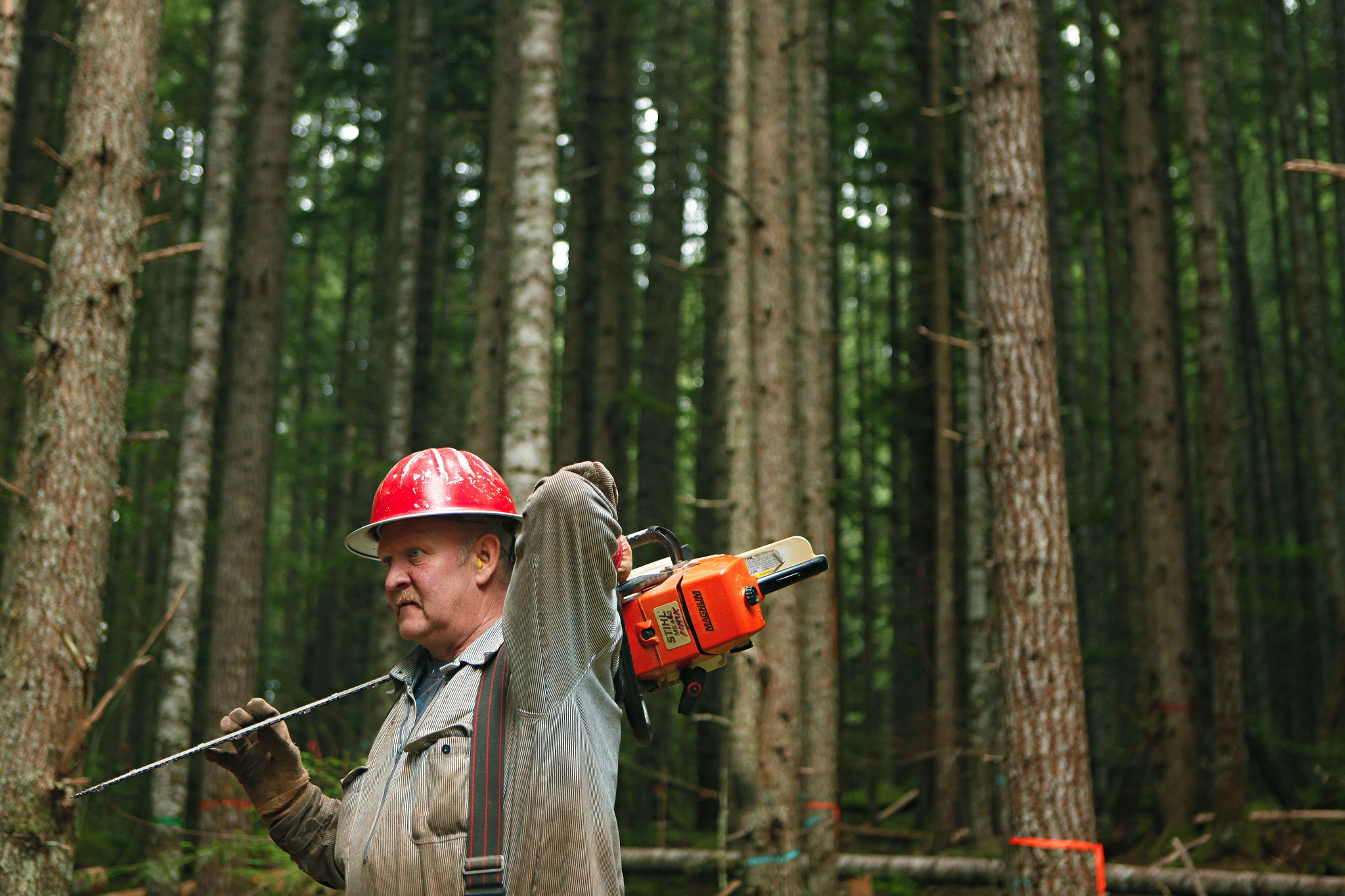 A new study shows that one in 10 jobs are tied to forestry, agriculture and fisheries in the five-state region of Washington, Oregon, Alaska, Idaho and Montana.