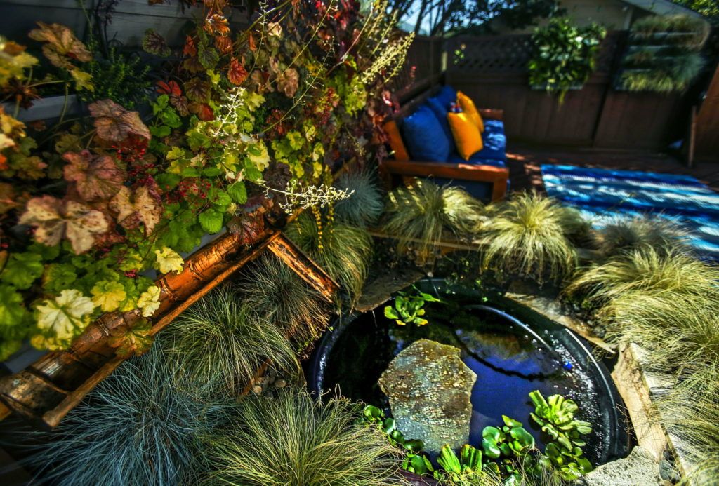 A vertical garden on the fencing around Matt Keenan and Kristen Boswell’s deckdeck, excess water is captured in a bamboo trough at the base, and channeled into a small pond built into the deck.
