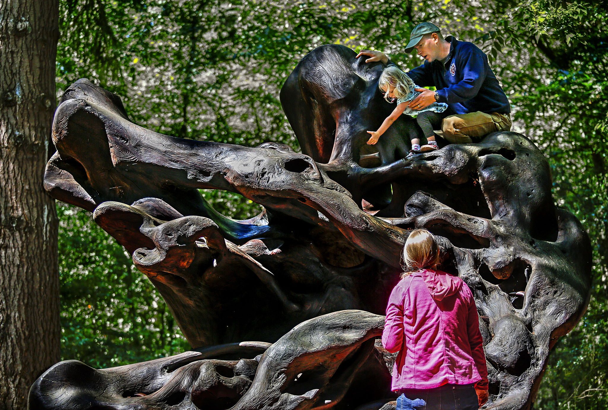 As wife Shannon watches from below Noah Katka of Seattle helps daughter Abigale explore a giant tree root ball that resembles a crocodile.