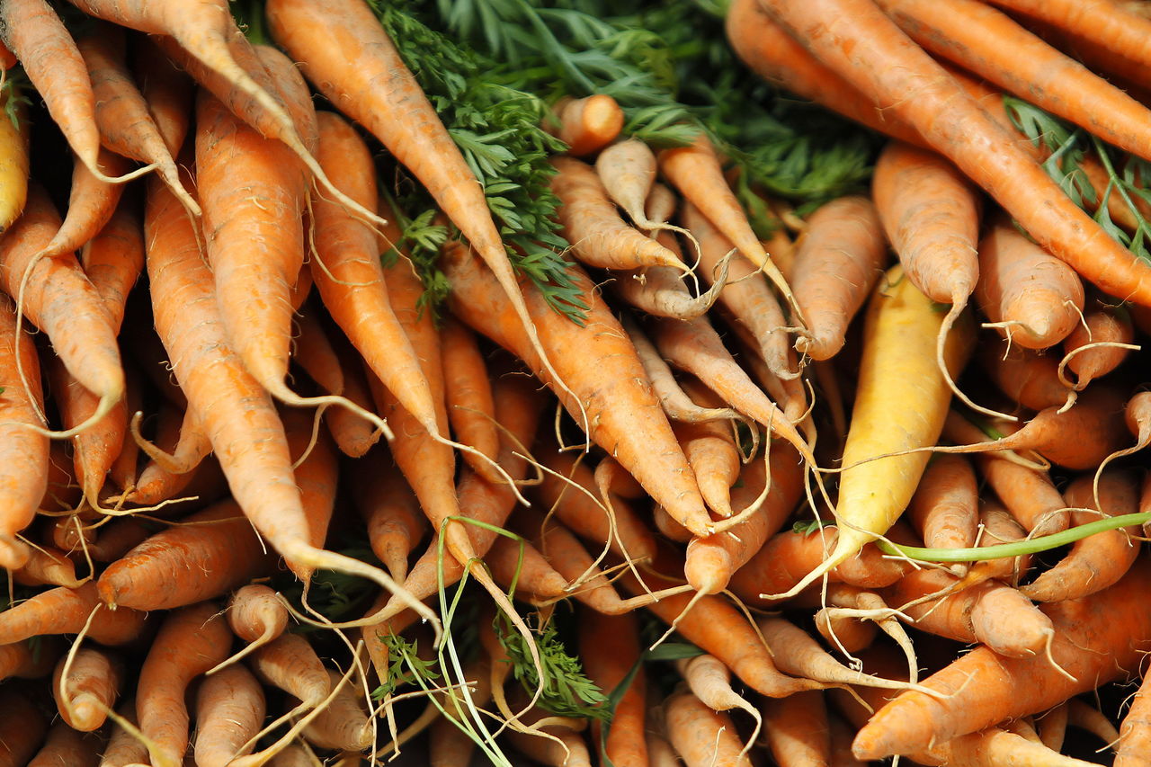 Carrots were for sale at the Alvarez Organic Farms stand at the opening day of the Lynnwood Farmers Market in 2014.