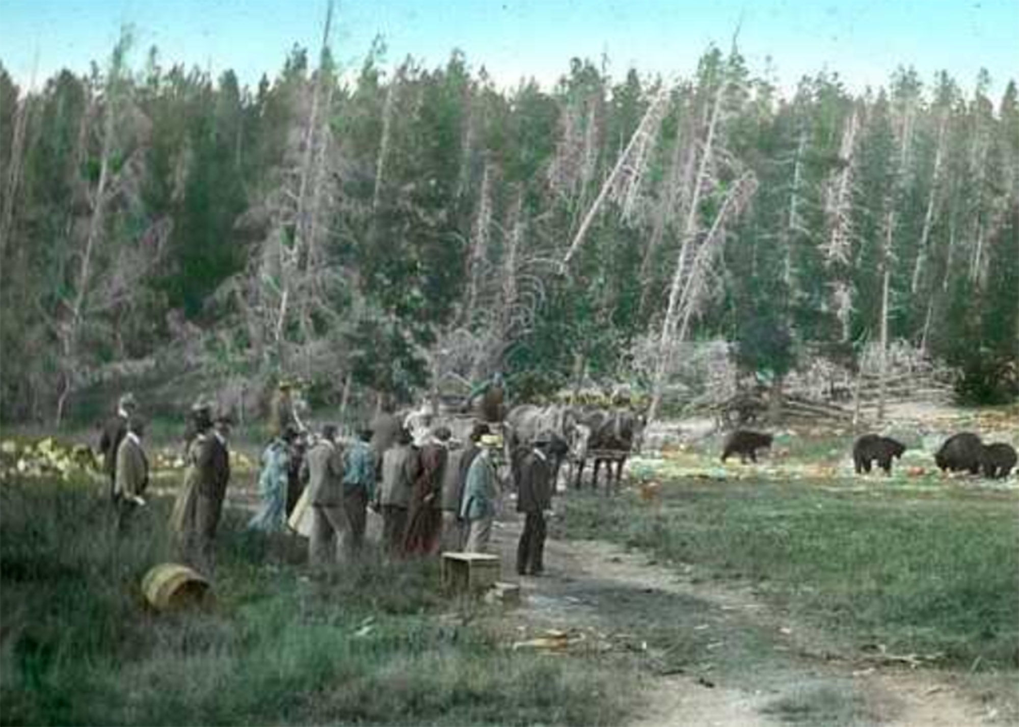 A painted slide of tourists watching bears eat at Yellowstone, sometime between the 1890s and 1910.
