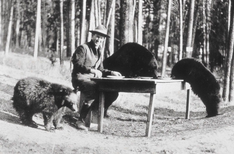 Horace Albright, the superintendent of Yellowstone, picnicking with bears in 1922.