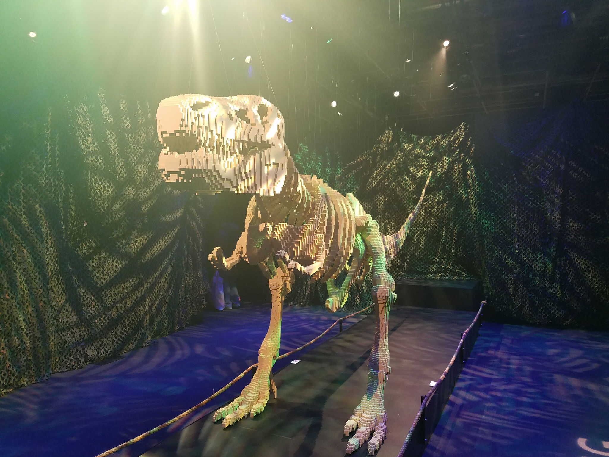 Sawaya spent a summer constructing this enormous dinosaur skeleton, which is built with a whopping 80,020 Legos.