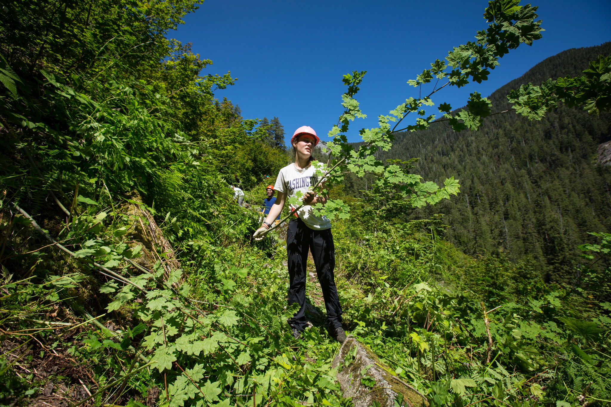 Madison Hatfield launches a branch off the trail during a Mountaineers work party to reconstruct the 8 Mile Trail near Darrington on June 4.