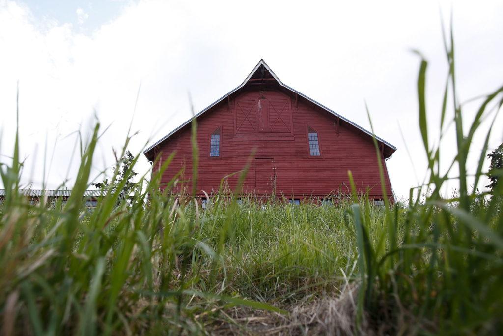 Diners are given the opportunity to eat an organic five-course meal made with locally grown food at the Farm Dinners offered at Kristoferson Farm on Camano Island.
