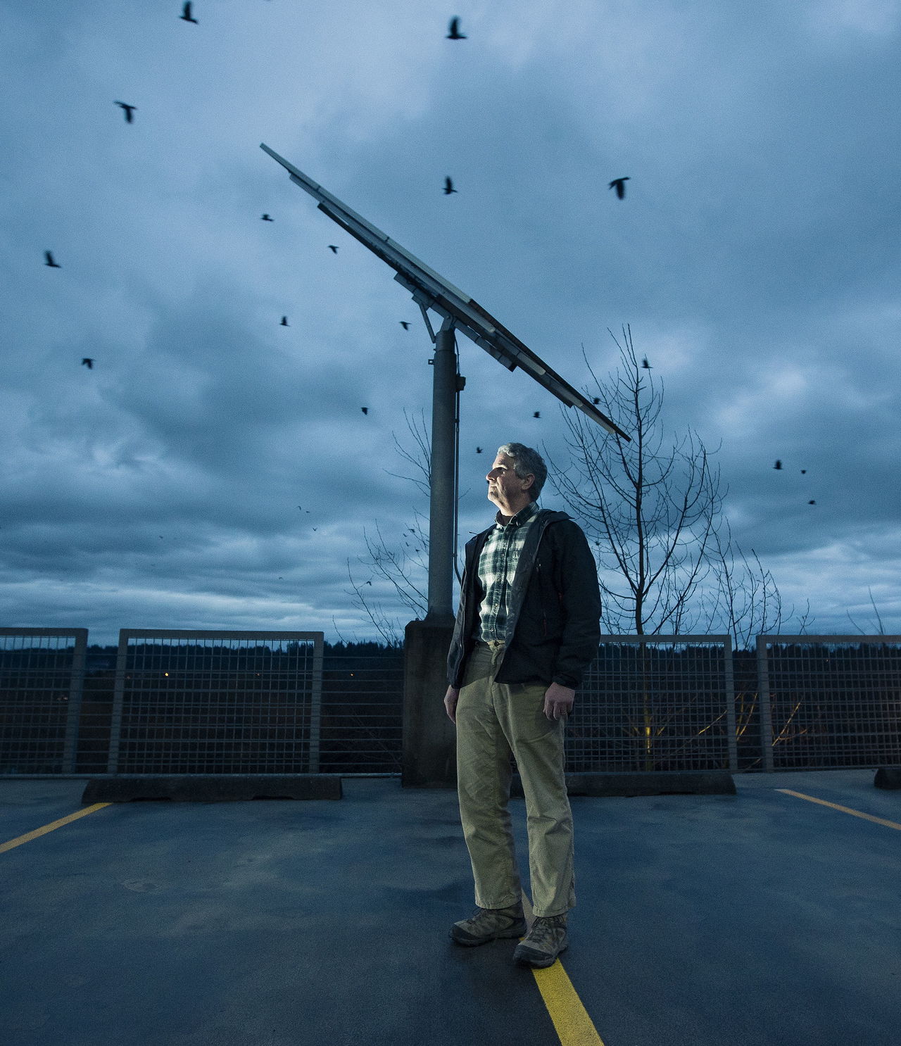 University of Washington Professor John Marzluff has spent 20 years researching crows and their complex behaviors. His recent work has examined how crows respond and react to the death of their comrades.