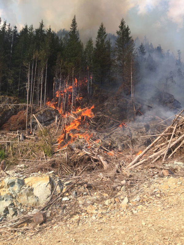 Crews have been working to control a fire near Gold Bar.