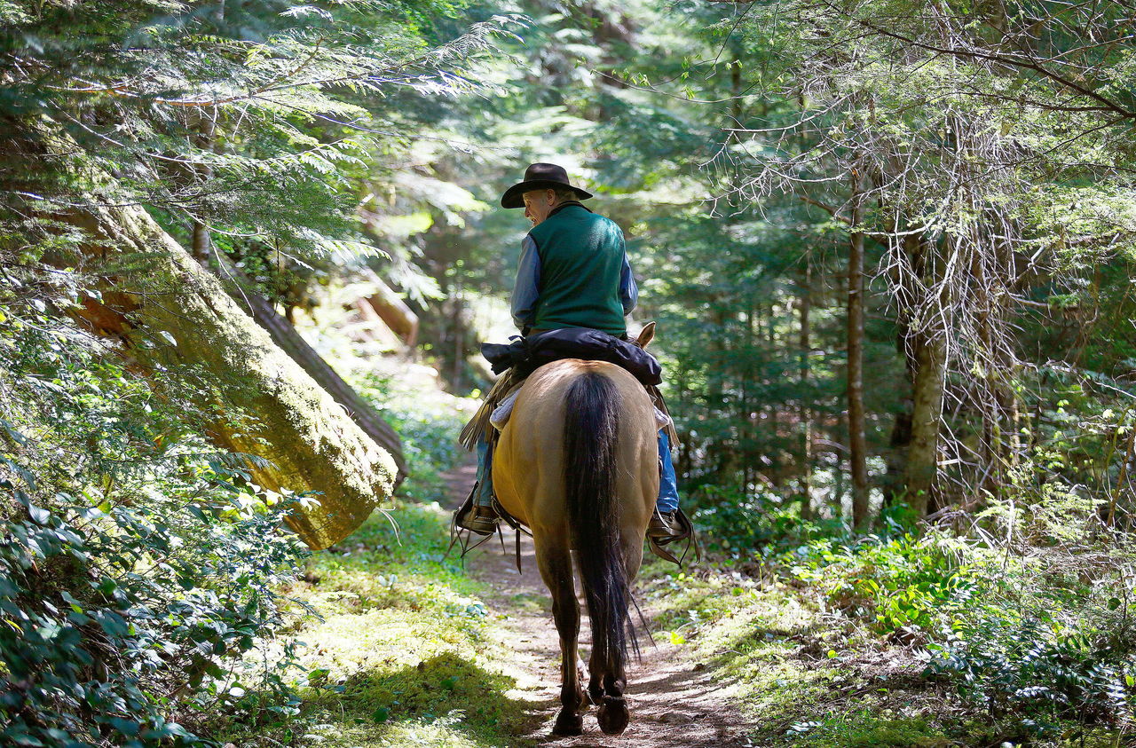 Kirk Kirkpatrick, owner of The Packstation in Darrington, rides up the Suiattle River Trail to scout campsites. Thirteen single sites and one group site at Buck Creek Campground on the Suiattle River Road are set to open for the season this weekend. Others remain closed pending repair work.