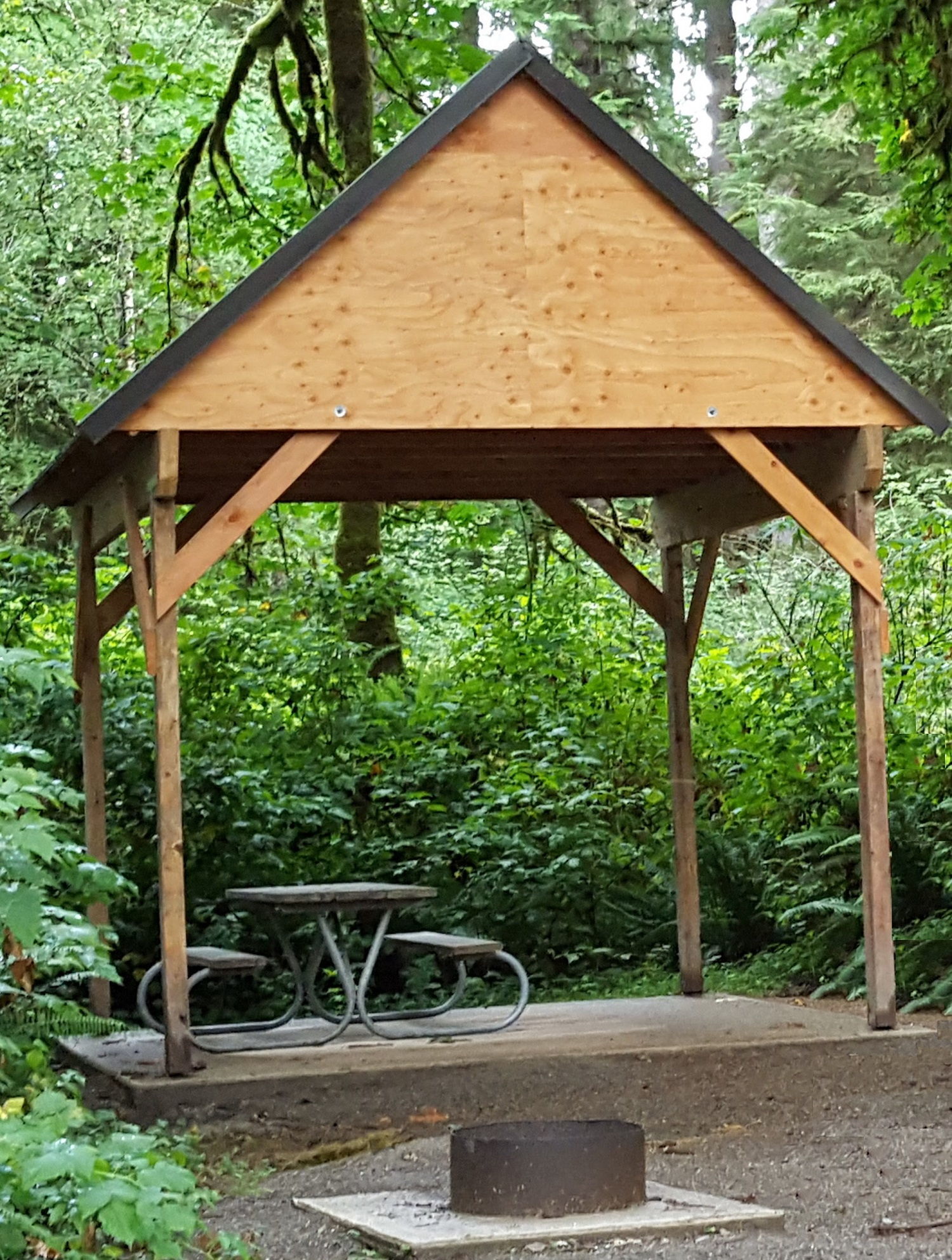 Five Boy Scouts from Troop 80 of Marysville recently earned the rank of Eagle after constructing five campsite shelters at a Masonic Family Park near Granite Falls.