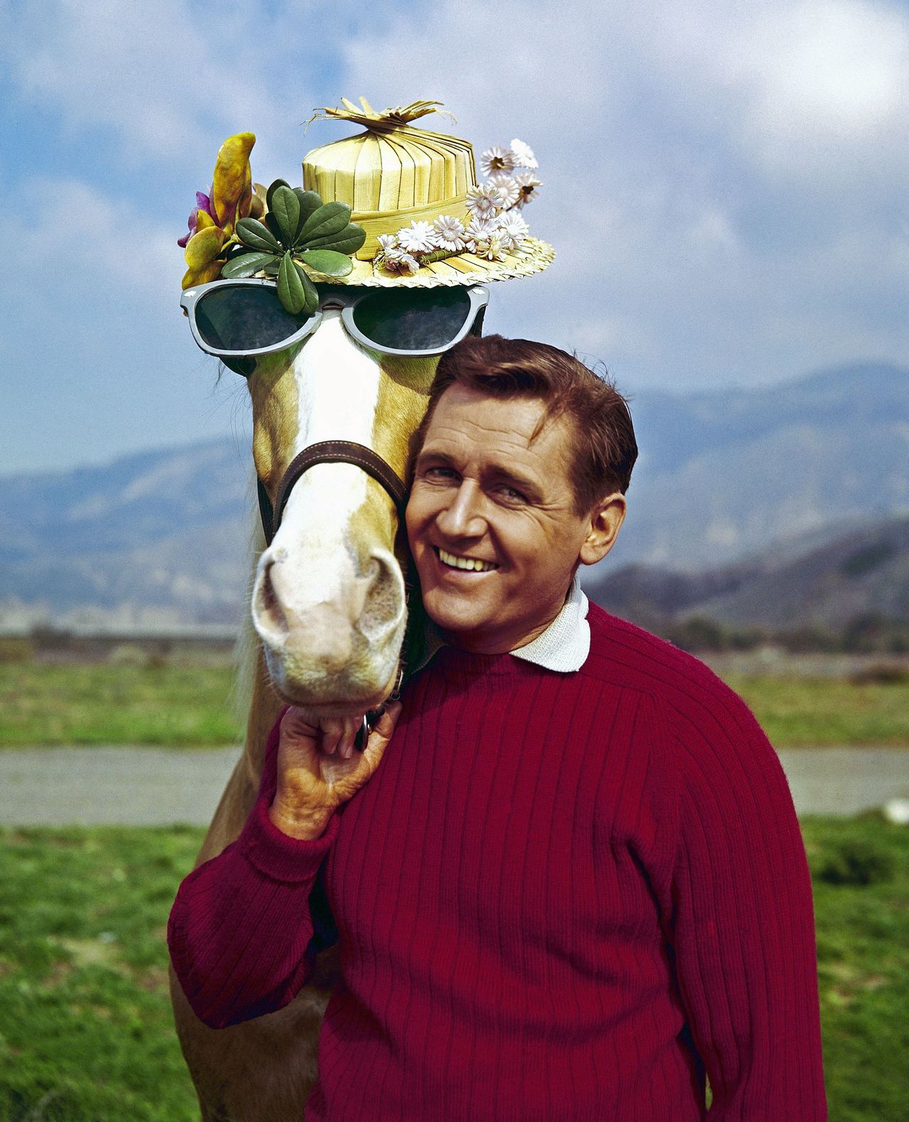 Mister Ed, equine star of the television series of the same name, poses with his TV co-star Alan Young on a beach in Malibu, California. Young, who played straight man to the talking horse in the 1960s sitcom, has died.