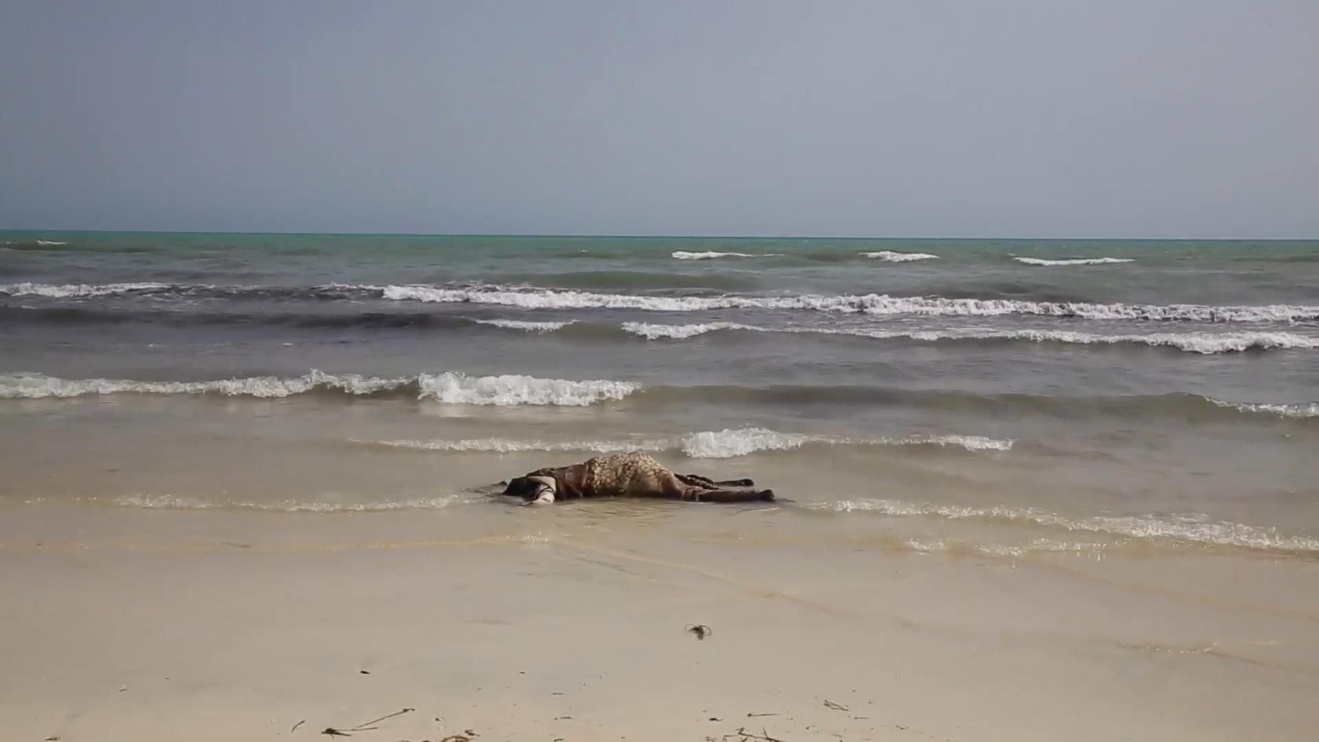 The lifeless body of a migrant lays on the beach near the western city of Zwara, Libya, on Thursday as rescue workers begin to retrieve some of the more than 100 bodies pulled from the sea, after a smuggling boat carrying mainly African migrants sank into the Mediterranean.