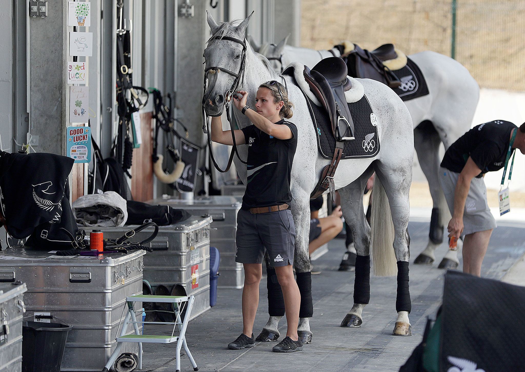 A member of New Zealand’s team works with a horse at the Olympic Equestrian Center ahead of the 2016 Summer Olympics in Rio de Janeiro on Thursday. Many of the horses were delivered by Boeing 777 freighters. (AP Photo/John Locher)