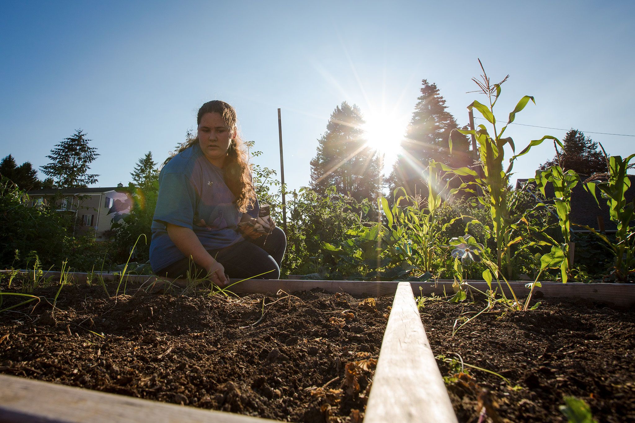 Tiana Sharp looks over a garden bed that she adopted in the Garden of Hope, a garden providing affordable, healthy produce for people in the community, during a barbecue at the Snohomish Church of the Nazarene on Aug. 10. Sharp already has a bed filled with corn, squash, beans and other produce, but decided to take on another bed after a member could no longer care for it. (Daniella Beccaria / For The Herald)