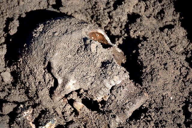 This image released by the the Mass Graves Directorate of the Kurdish Regional Government shows a human skull in a mass grave containing Yazidis killed by Islamic State militants in the Sinjar region of northern Iraq in May 2015. An analysis by The Associated Press has found 72 mass graves left behind by Islamic State extremists in Iraq and Syria, and many more are expected to be discovered as the group loses territory. (Kurdish Mass Graves Directorate via AP)