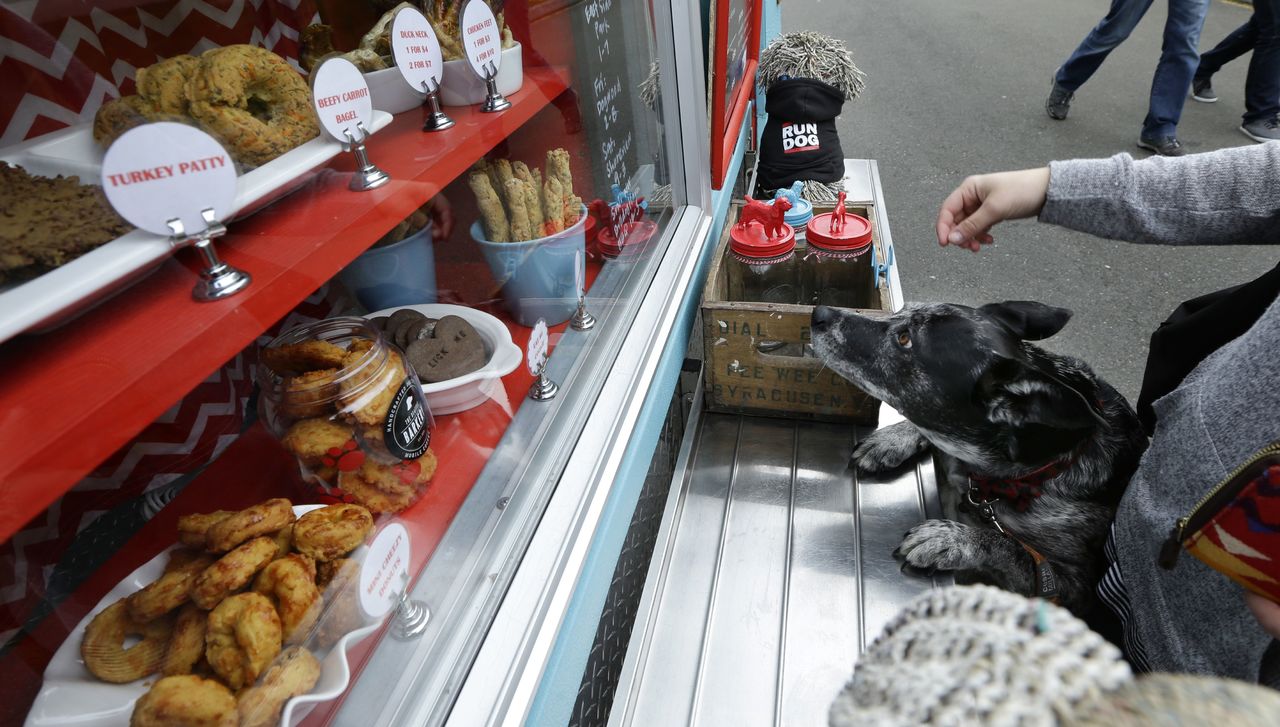 Maya, an Australian cattle dog mix eyes treats at a food truck specializing in treats for dogs at the headquarters for Zumiez in Lynnwood last week.