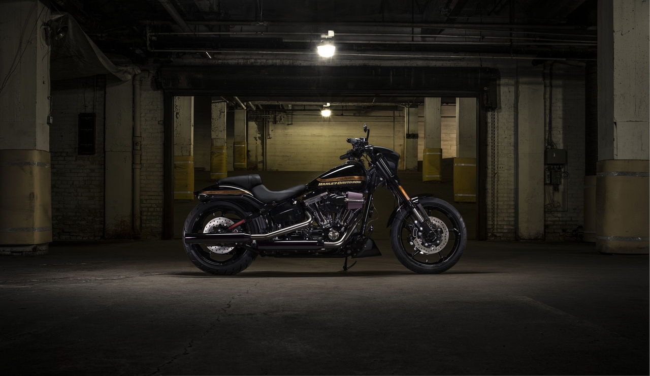 Harley-Davidson has added The Roadster, a 1200-cc V-Twin, to its lineup.