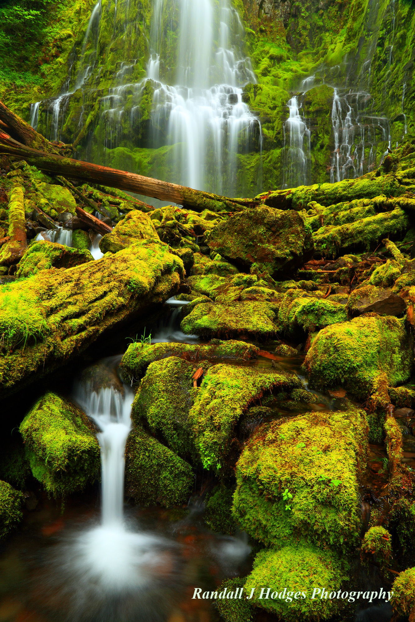 Proxy Falls in the Three Sisters Wilderness in the Willamette National Forest in Oregon.
