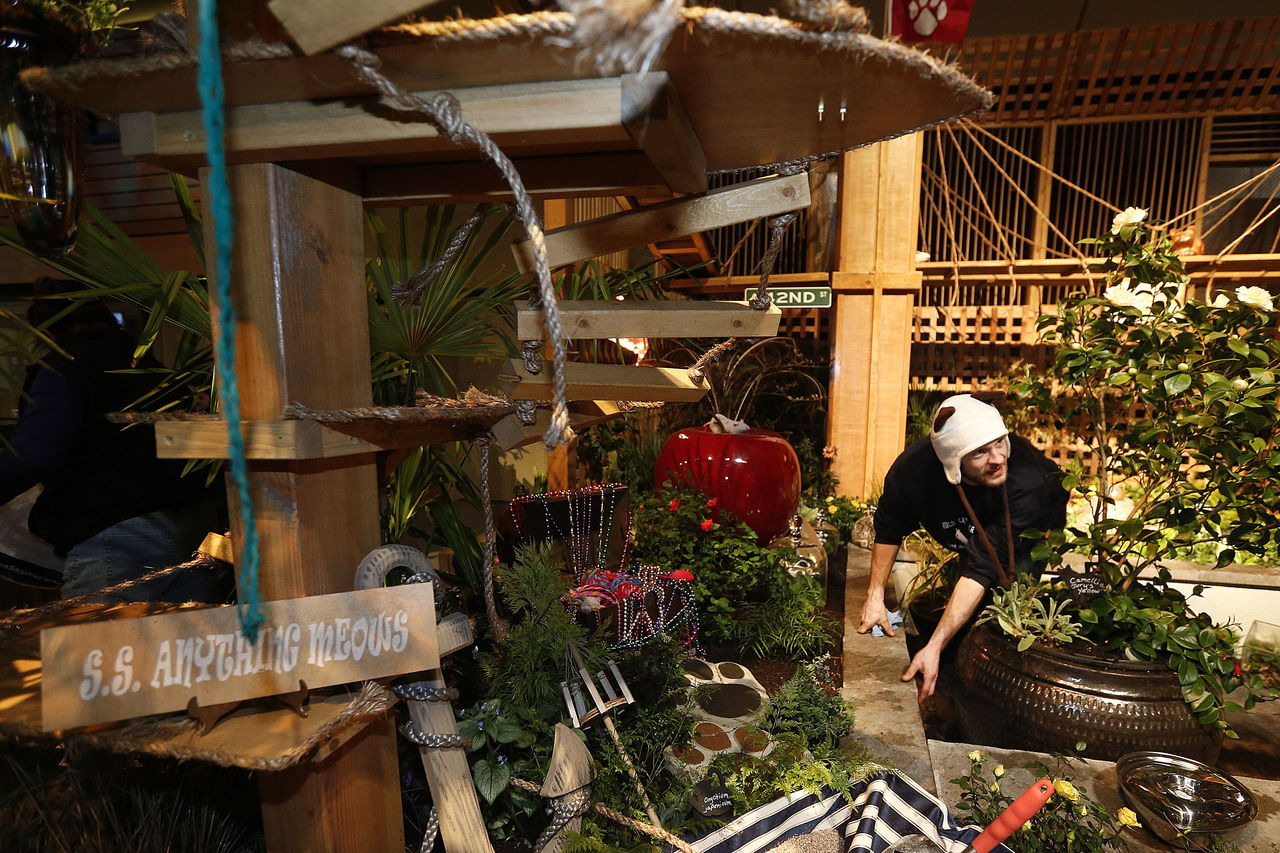 Felix Jones cleans up and puts the final touches on Fancy Fronds Nursery’s display.
