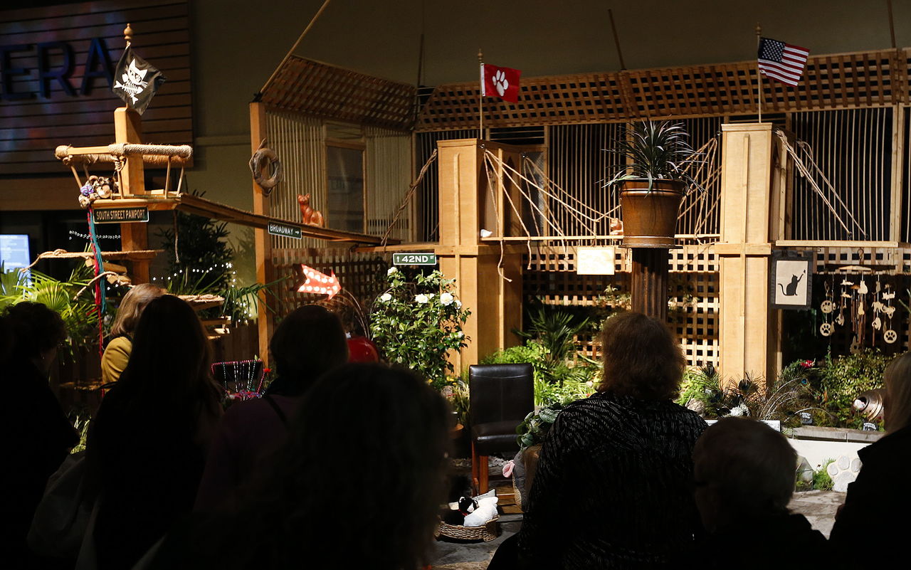 Created by the Fancy Fronds Nursery in Gold Bar, a New York themed "Catio," a patio designed specifically for cats, is seen at the Northwest Flower and Garden Show in Seattle on Tuesday. Designed by Fancy Fronds Nursery’s Felix Jones and Joshua Bathke, the booth features a custom-built containment fence, a filtered drinking area and various plants selected by the creators to be harmless for cats.