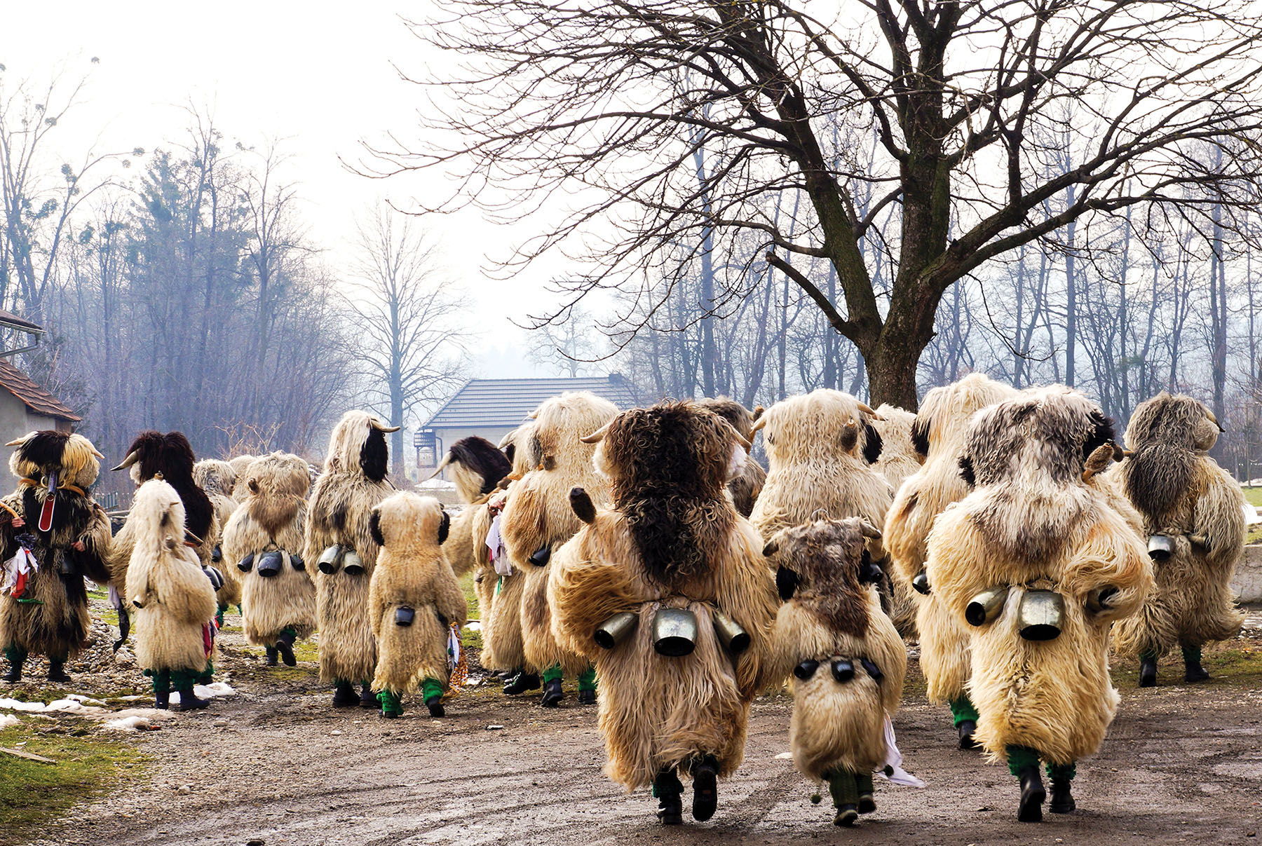 Slovenian villagers dress as Kurents to scare away winter; these days, tourists can buy off-the-rack Kurent costumes and join the parade.
