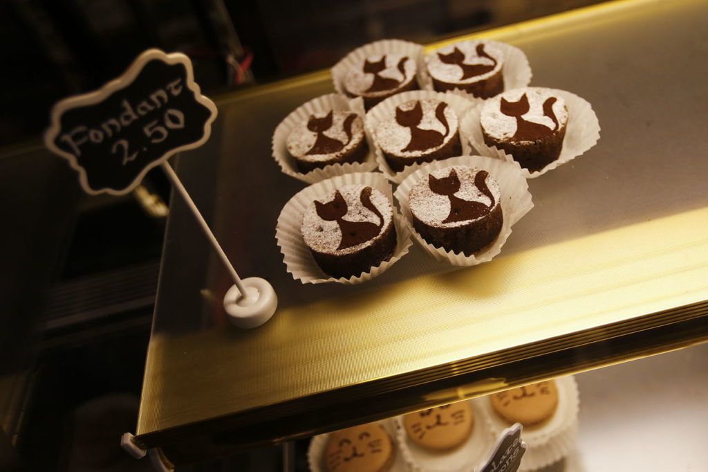 Cat-themed pastries are on the menu at the cafe.
