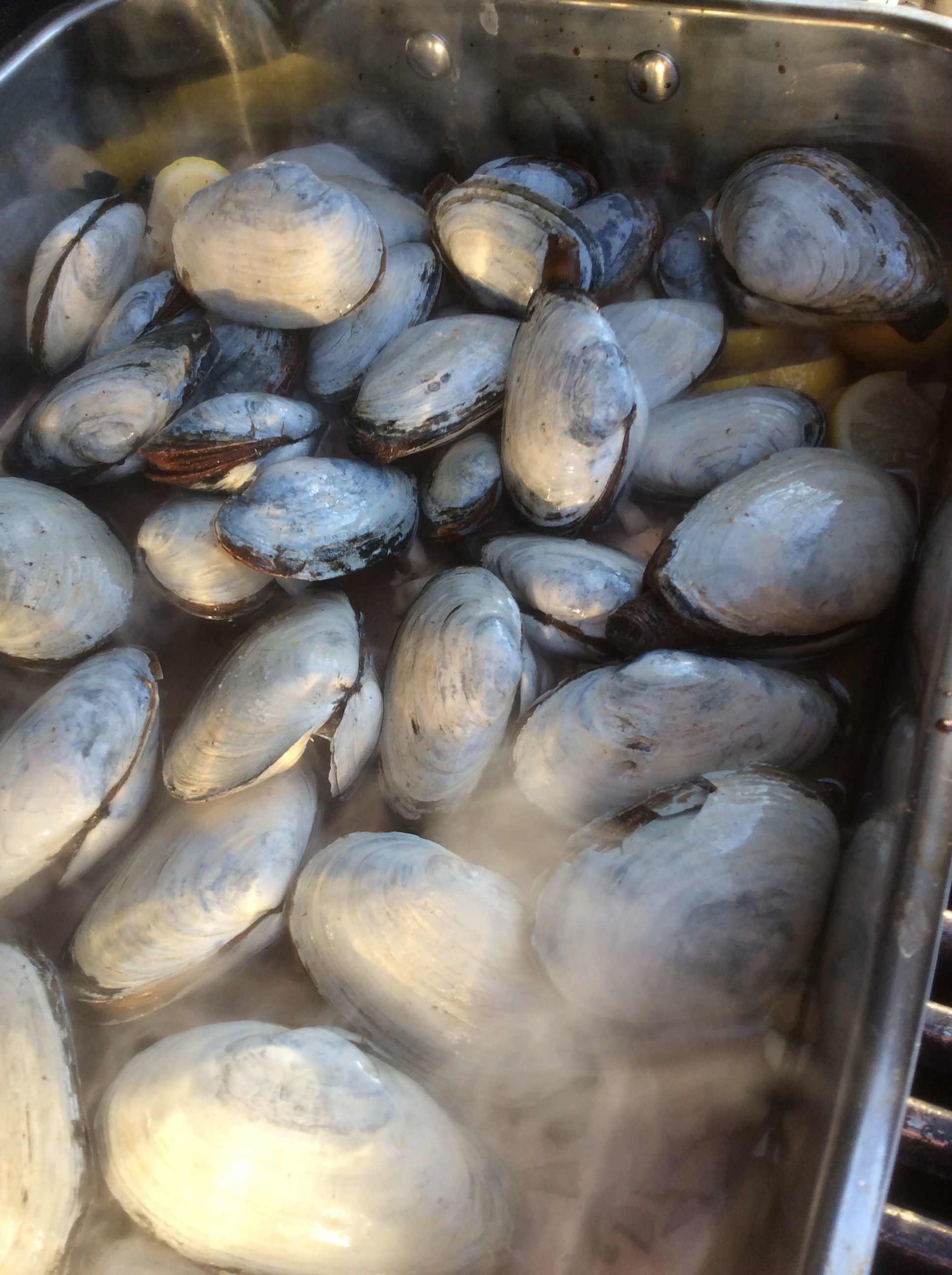 Steamer clams are a big reward for not a lot of work.