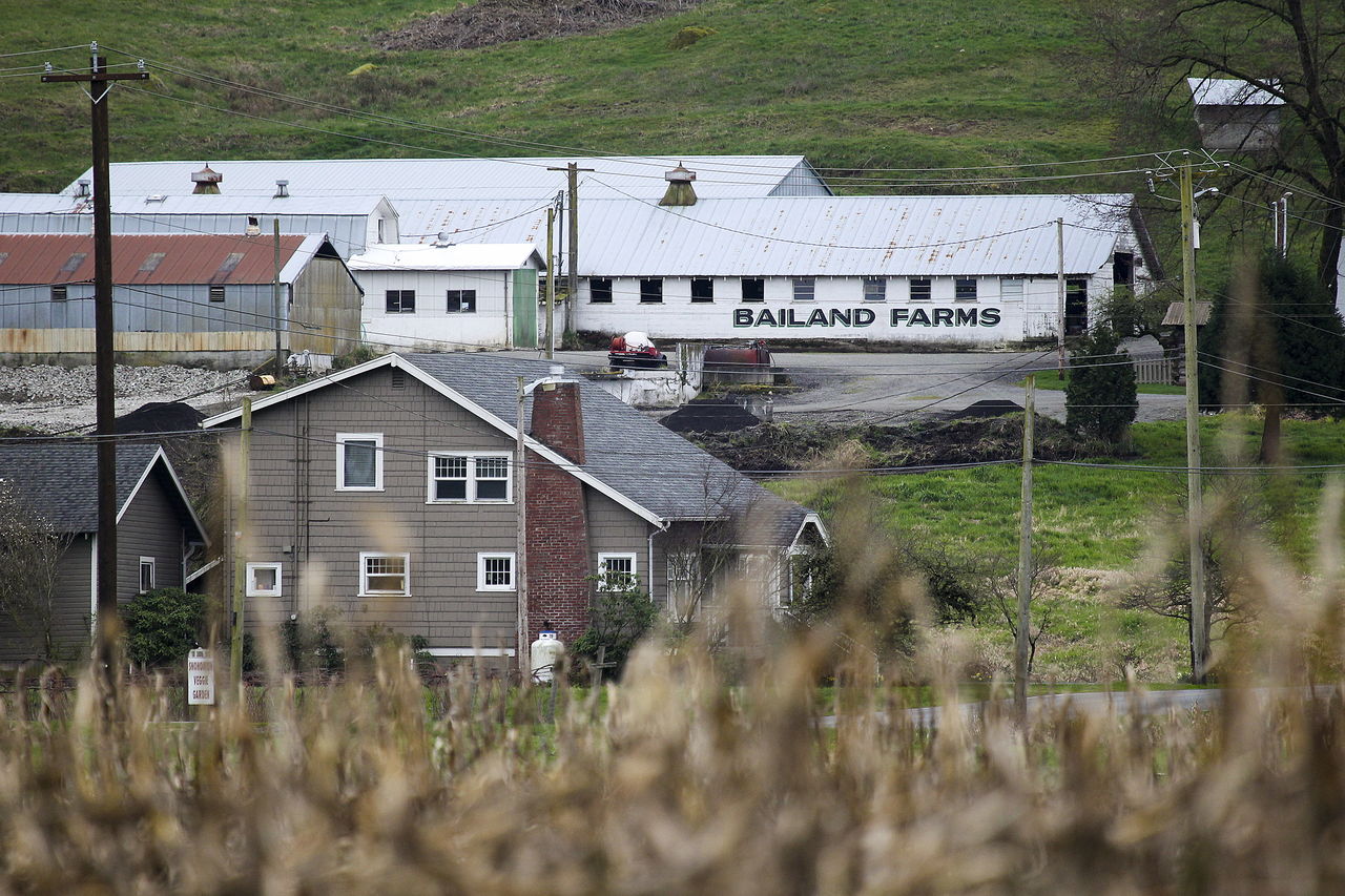 An old dairy barn is seen on a hill on the Bailey Farm near Springhetti Road in Snohomish on Wednesday.