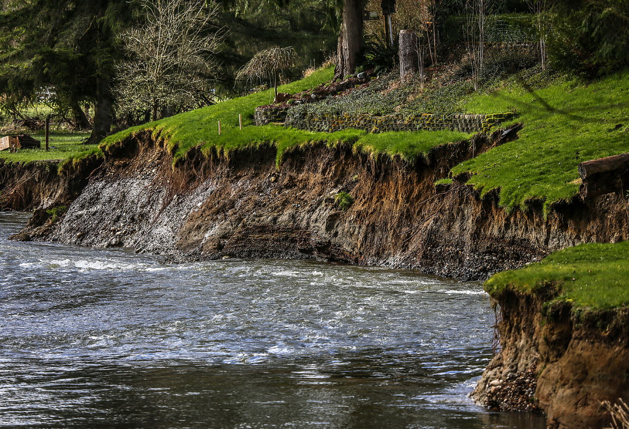 Homeowners living on 152nd Avenue NE in Lake Stevens are steadily losing ground to the Pilchuck River, as soil and sod are continuously stripped away.