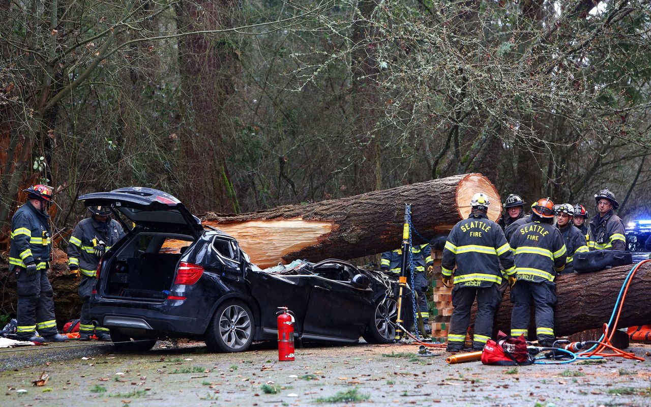 Seattle fire and emergency crews work to extract the body of a man who died when a tree fell on his car at Seward Park during Sunday’s windstorm. The Seattle Fire Department reported that a bystander helped a toddler out of the back seat, she was then transported to Harborview Medical Center with minor injuries.