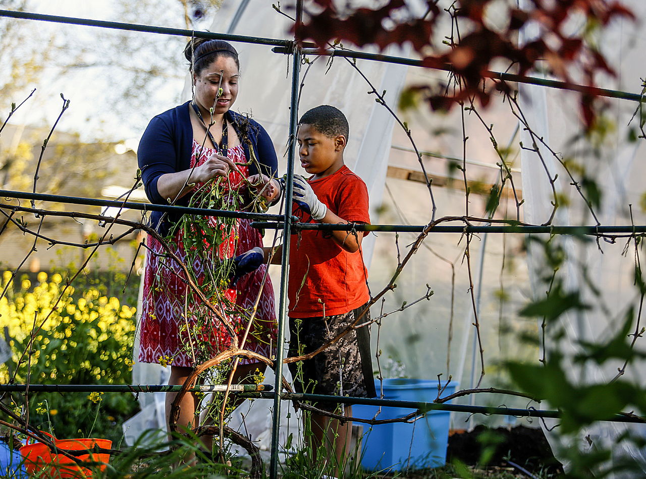 Sheena Bradford and her son, Jayden, 8, of Everett, enjoy working and learning together in a garden at Olivia Park Elementary, late Thursday afternoon.