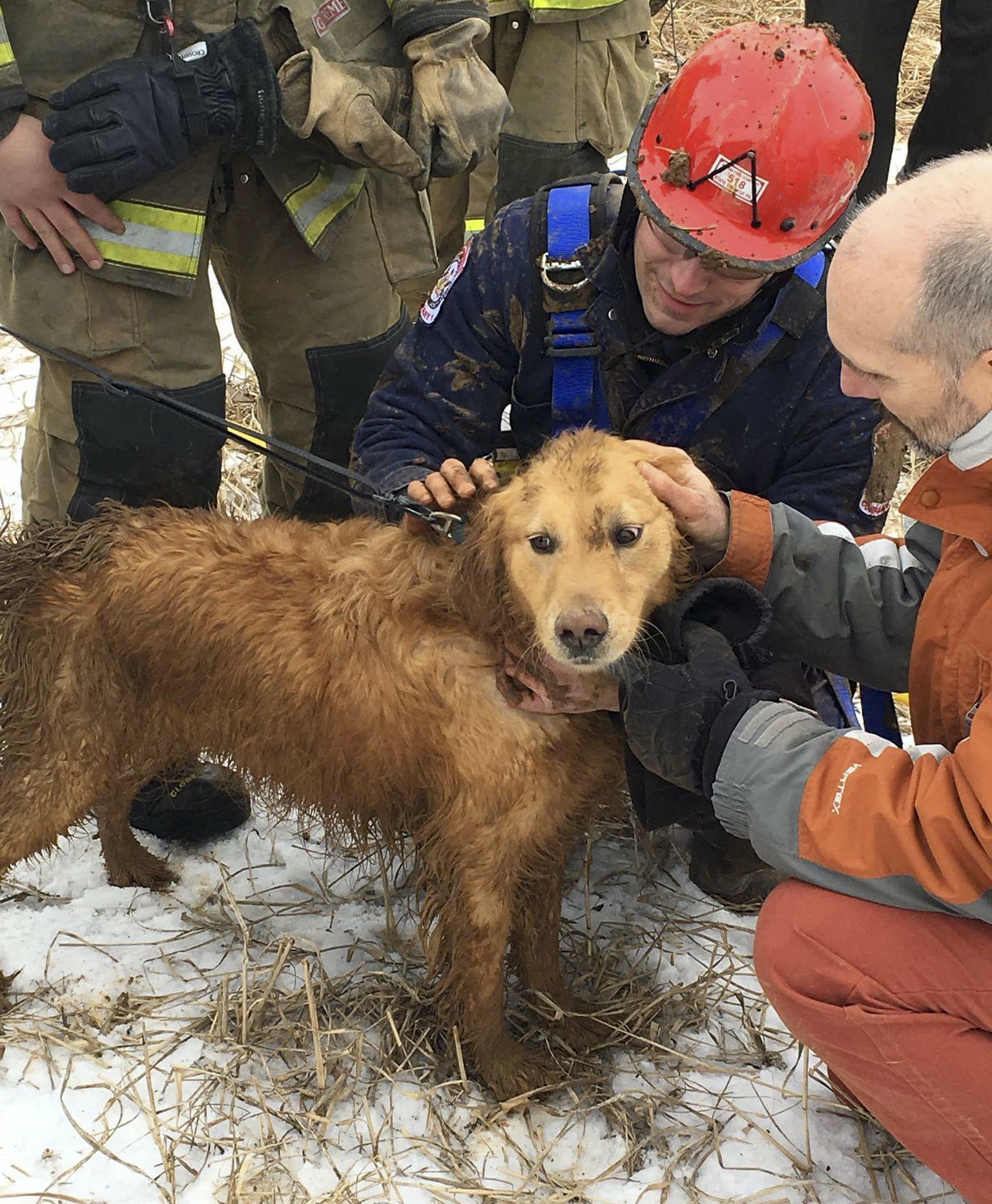 Rescue workers check Skye, a golden retriever, after being rescued in State College, Pennsylvania, on Wednesday.