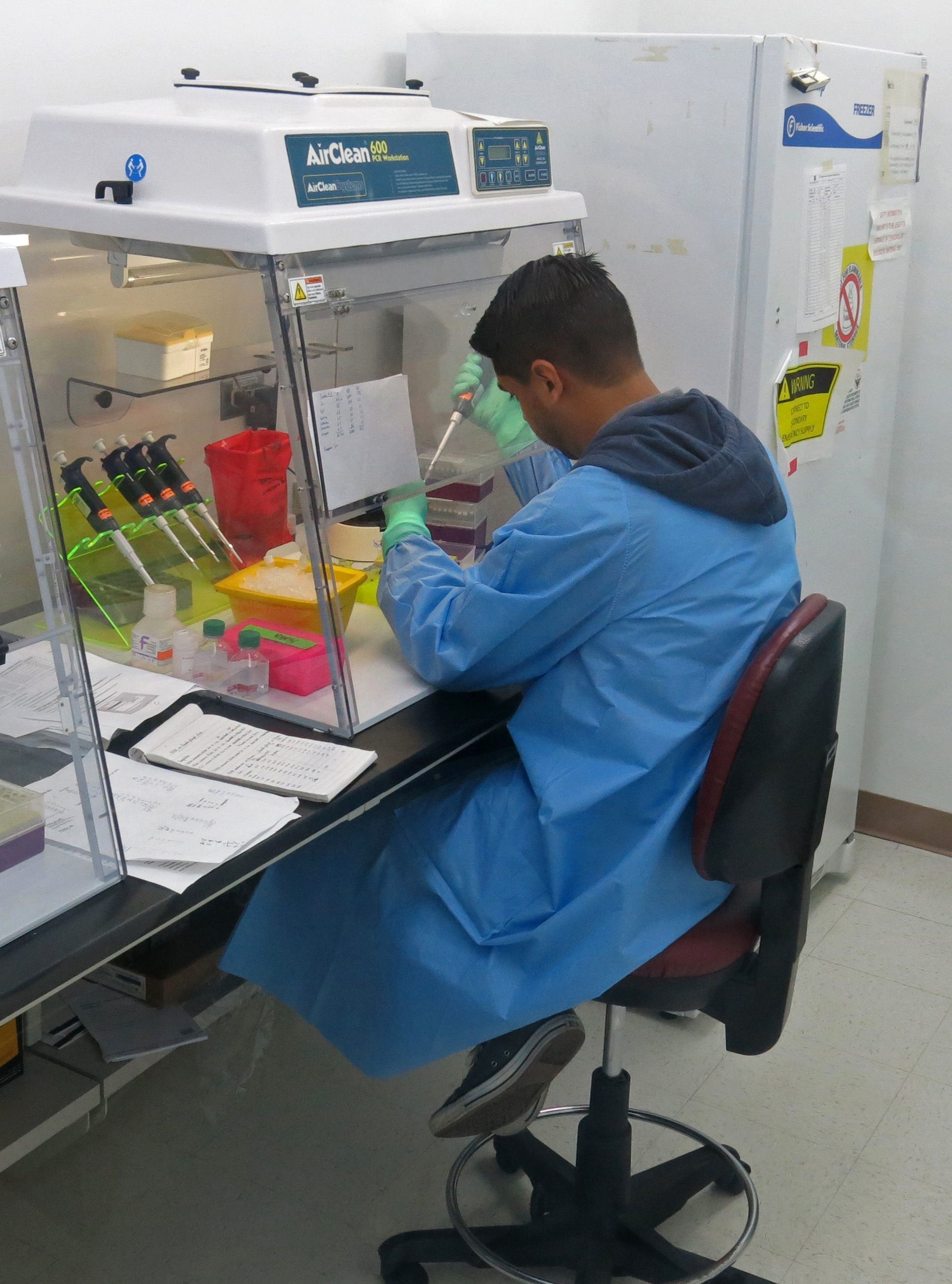 An employee with the U.S. Centers for Disease Control and Prevention (CDC) tests human blood samples for Zika at the CDC’s dengue lab in San Juan, Puerto Rico, on Feb. 24.