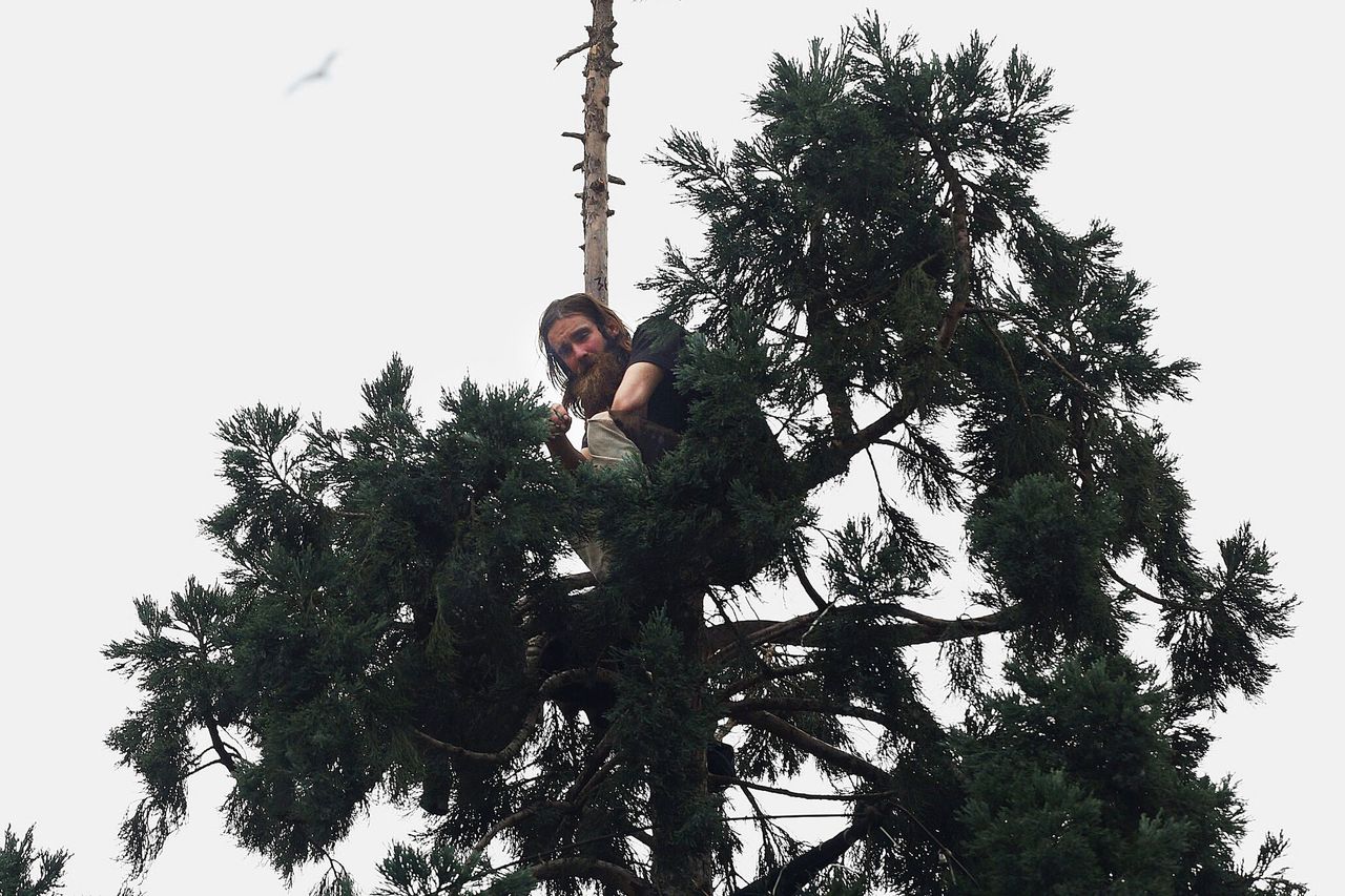 A man sits in an 80-foot tall tree in downtown Seattle on Tuesday.