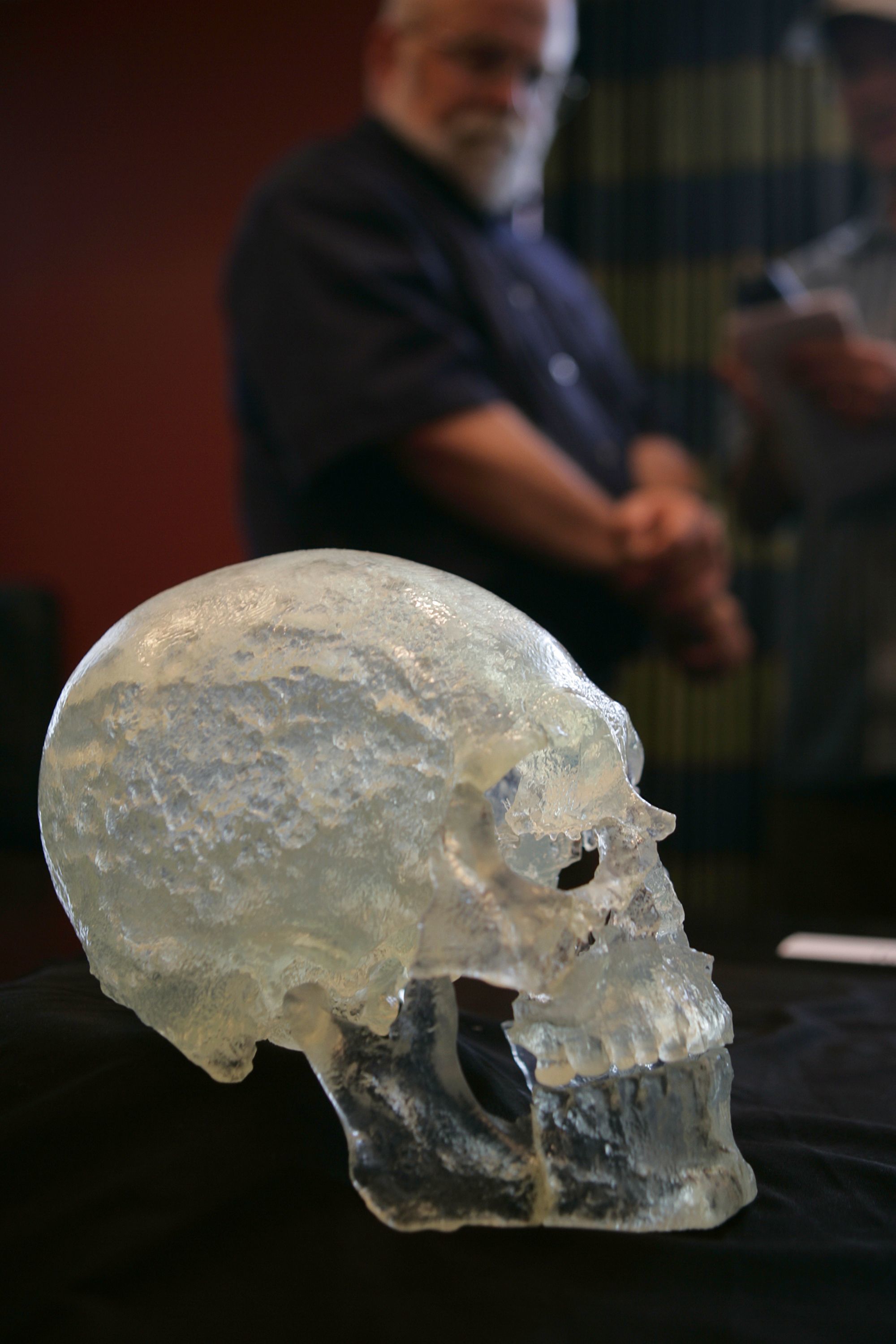 This July 10, 2005, photo a model of the Kennewick Man skull is displayed as Dr. Wayne Smith (background) answers questions from the media regarding the comprehensive study of the ancient man at University Towers in Seattle.
