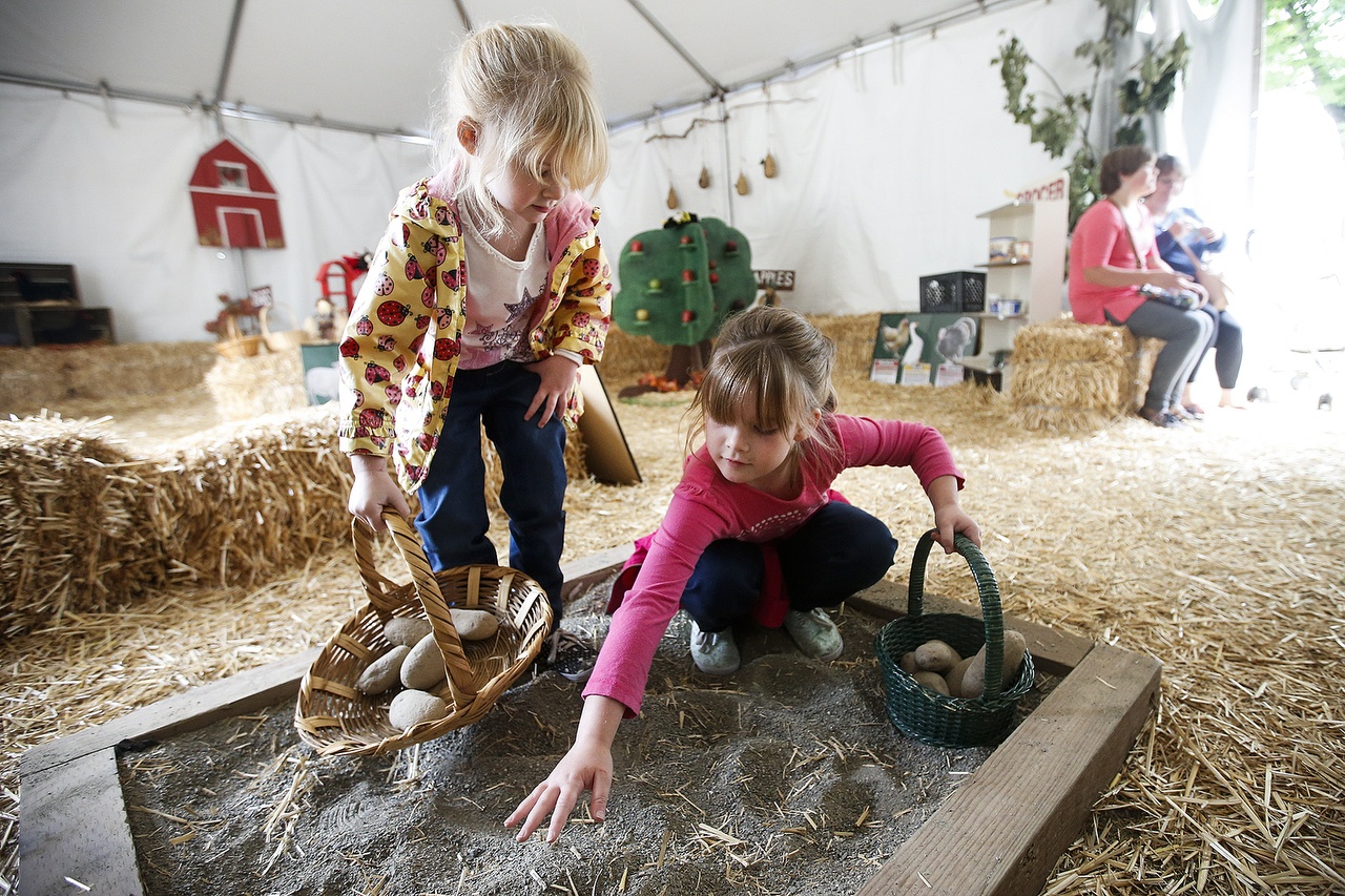 Sisters Naomi (left), 5, and Esther Wayson, 8, dig around for potatoes at the Evergreen State Fair’s “Farmer for a Day” exhibit on Thursday. “I’ve gotten the eggs at my house lots of times, I get a quarter each time,” Esther says, speaking of her farm experience at her home in Snohomish. (Ian Terry / The Herald)